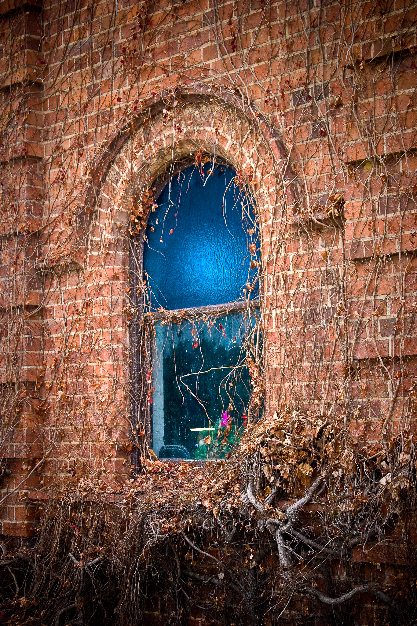 Vic Trip 2007 MG 0097