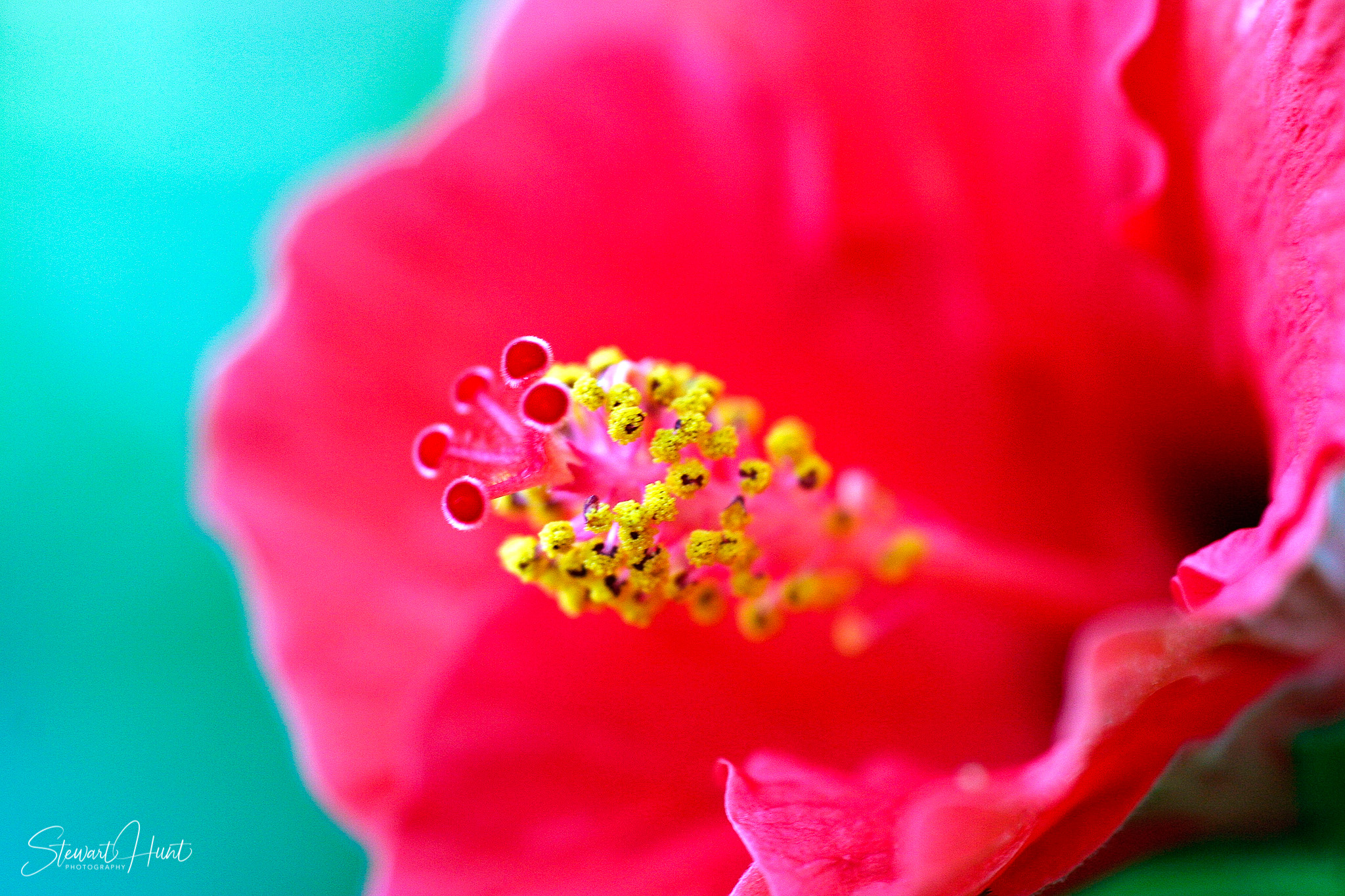 Melbourne and Murray Mar 2005 MG 0235