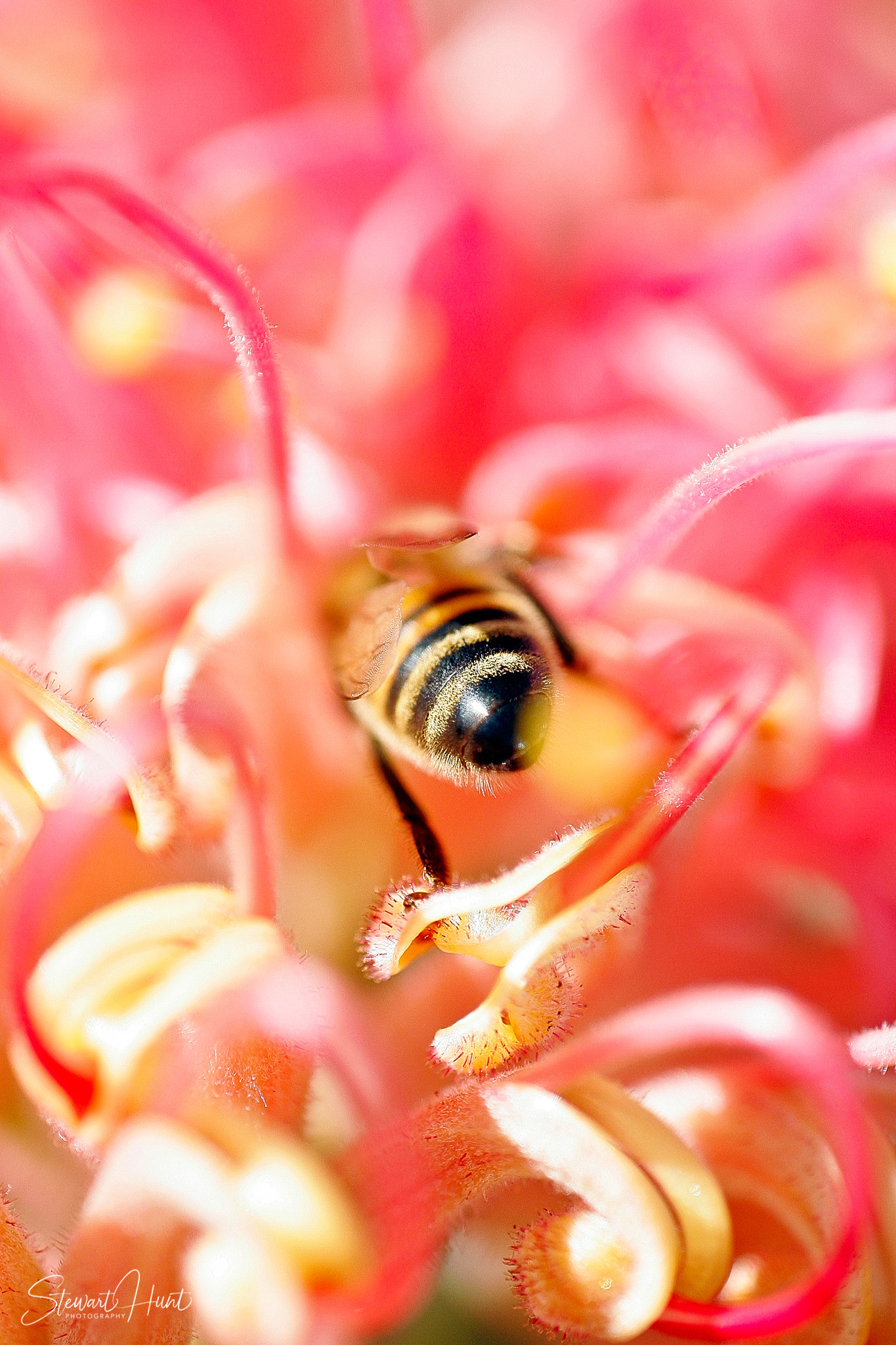 Melbourne and Murray Mar 2005 MG 0289
