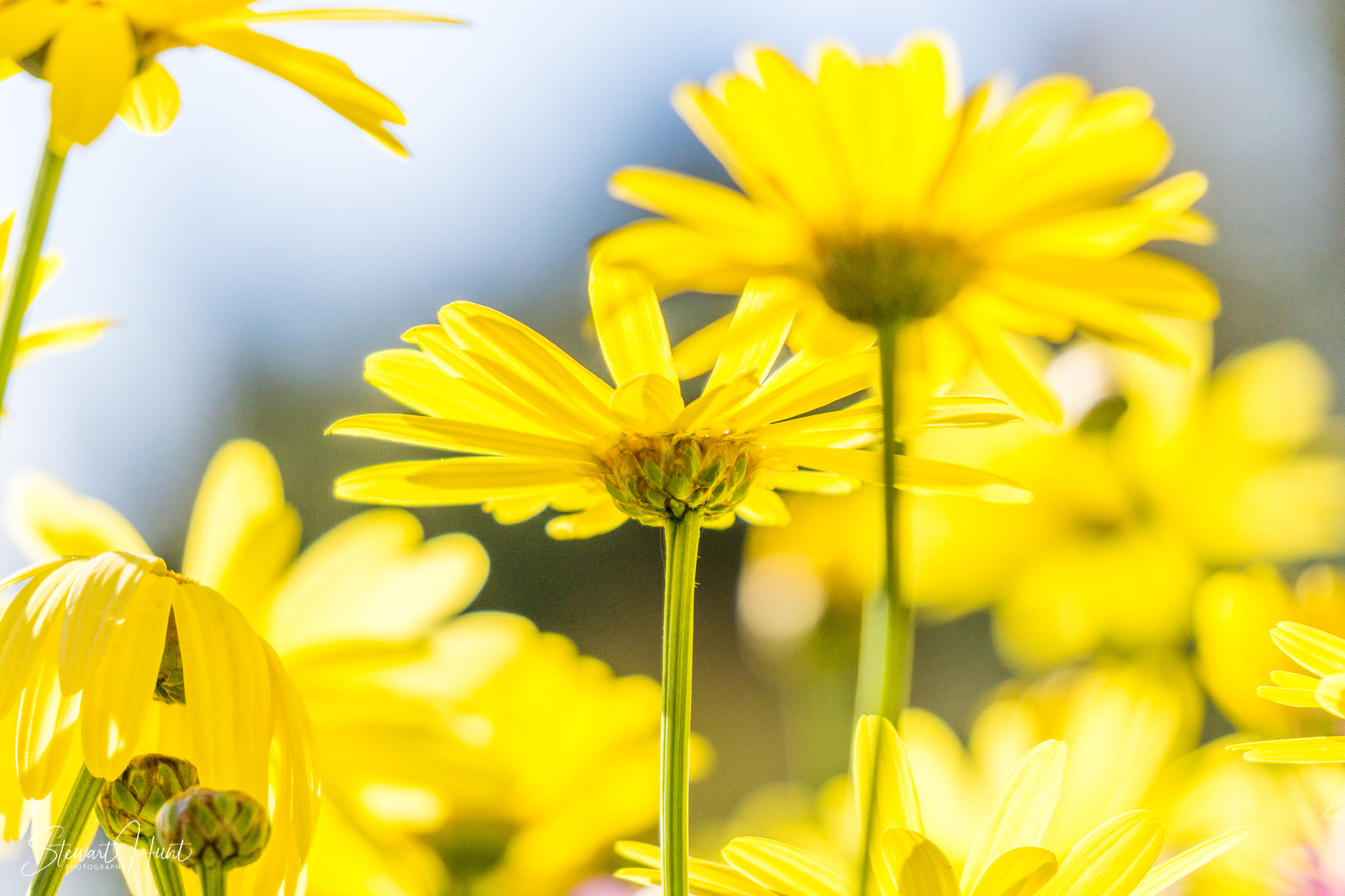 Peru 2016 A6000 6862