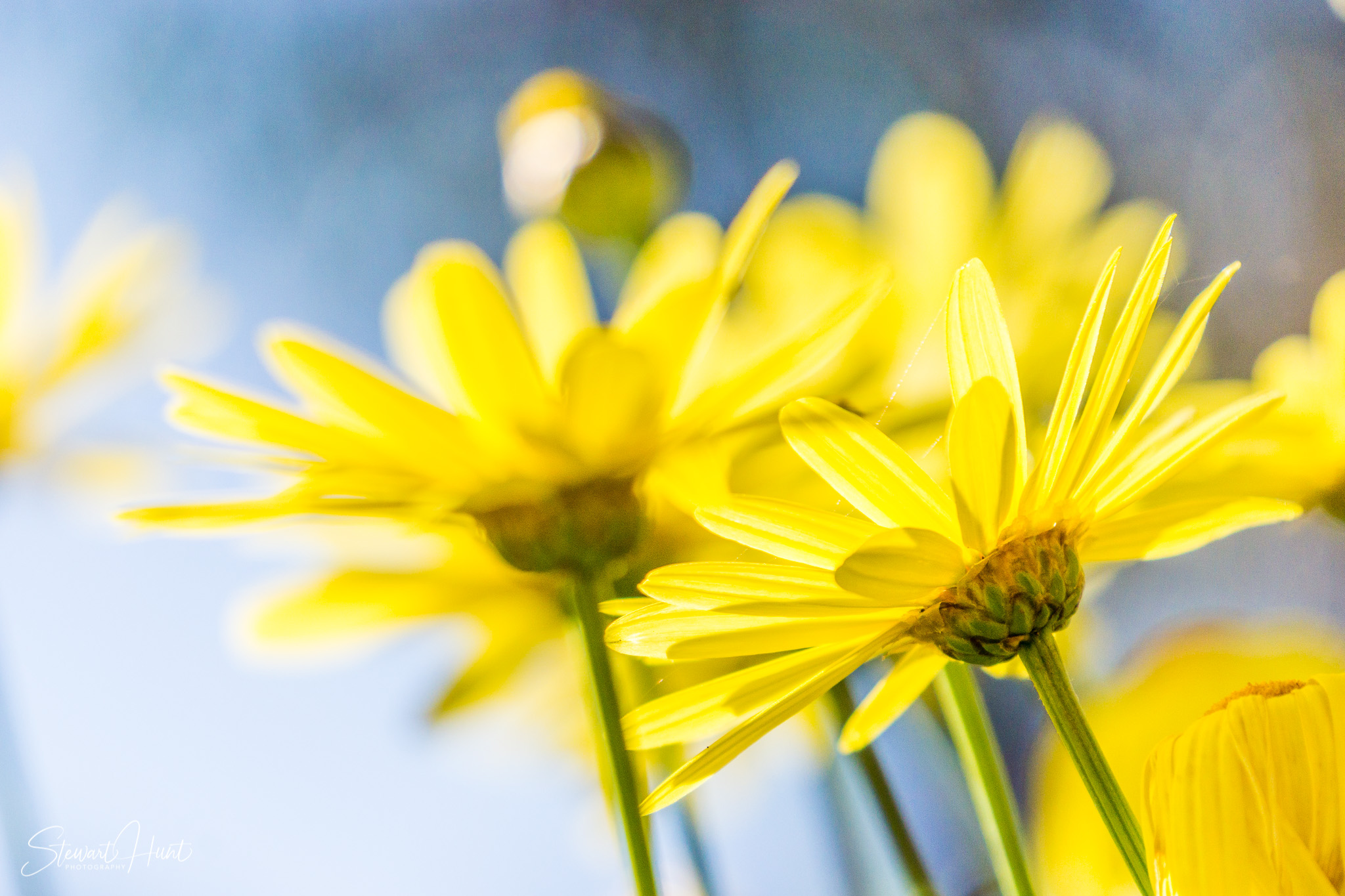 Peru 2016 A6000 6868