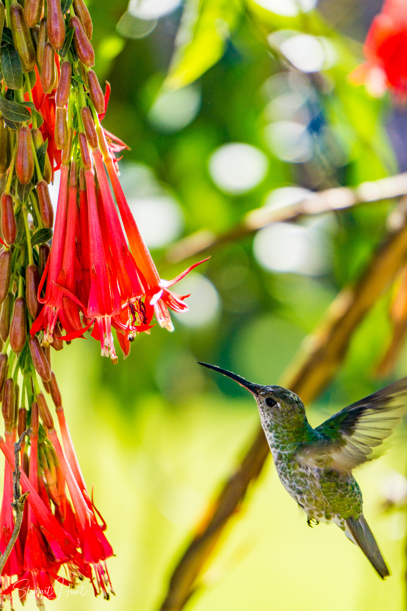 Peru 2016 A6000 7213