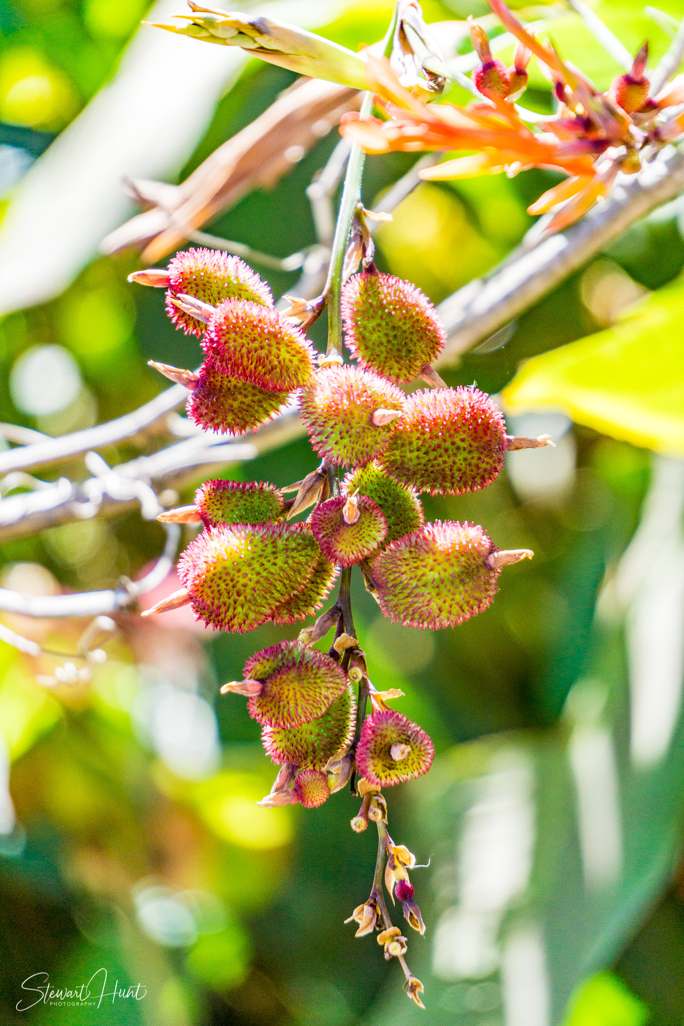 Peru 2016 A6000 7220