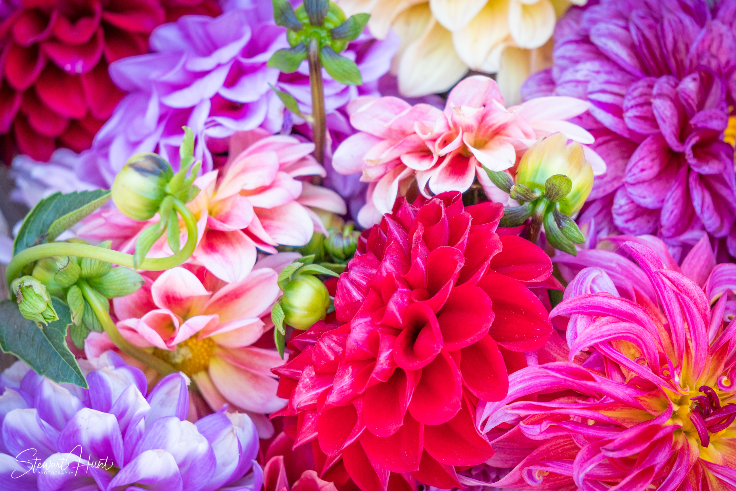 20190309 Ballarat 5740