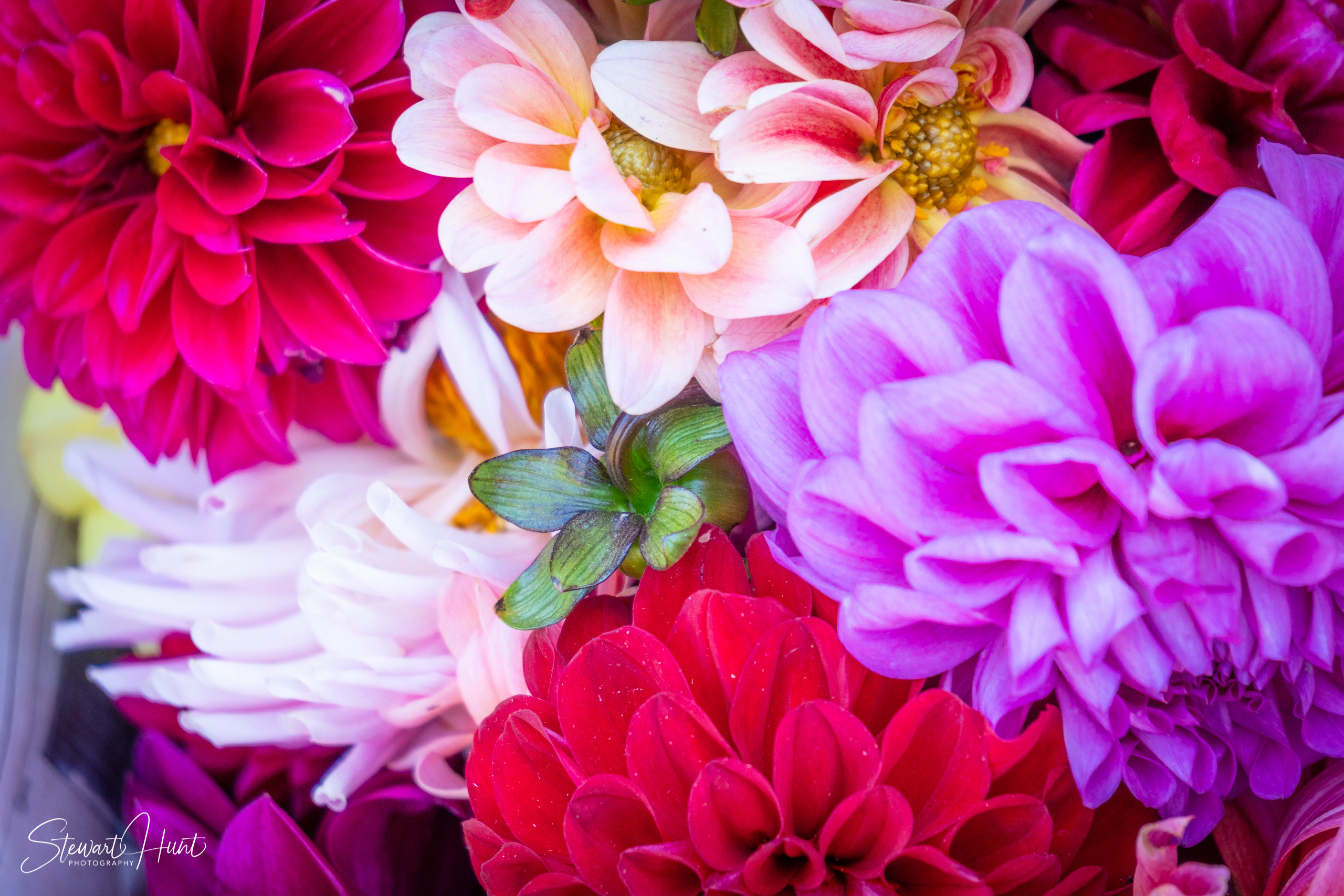 20190309 Ballarat 5741