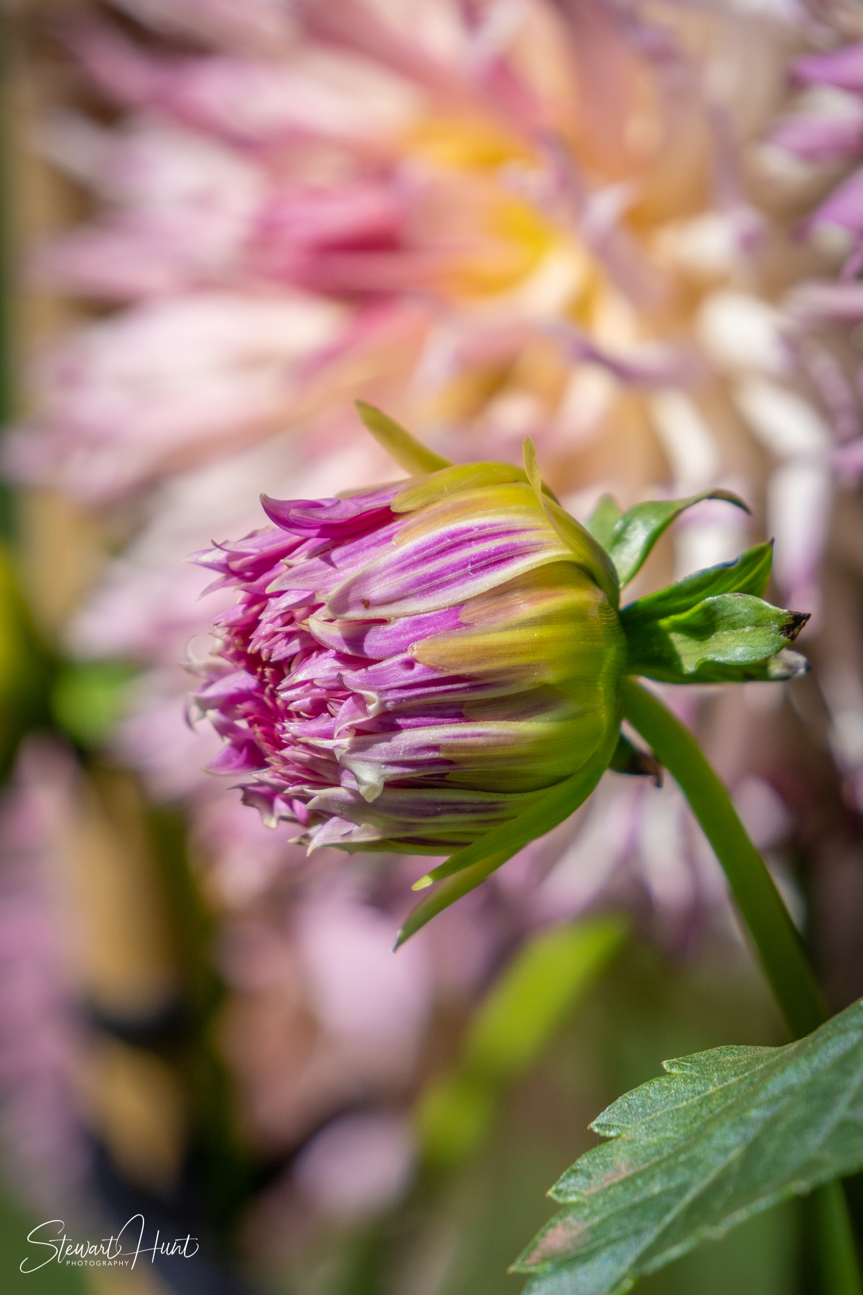 20190309 Ballarat 5759