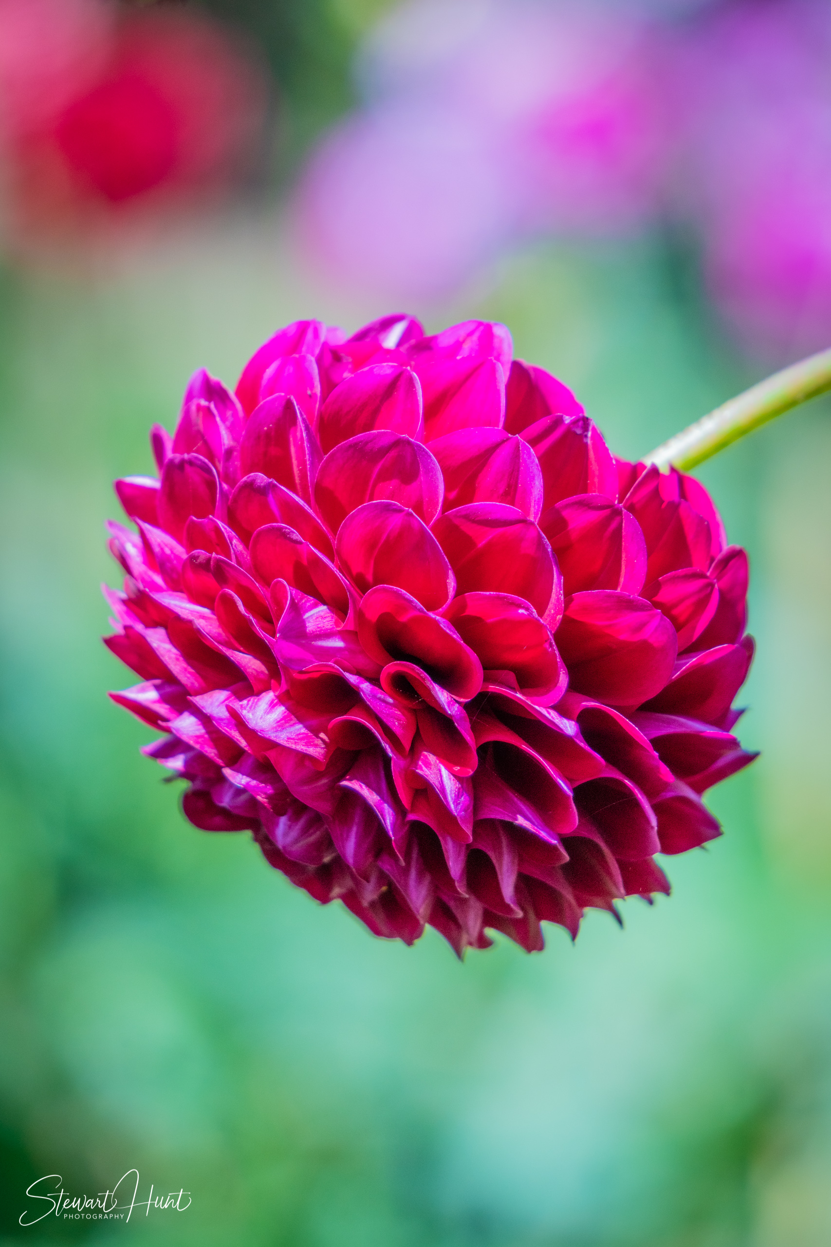 20190309 Ballarat 5766