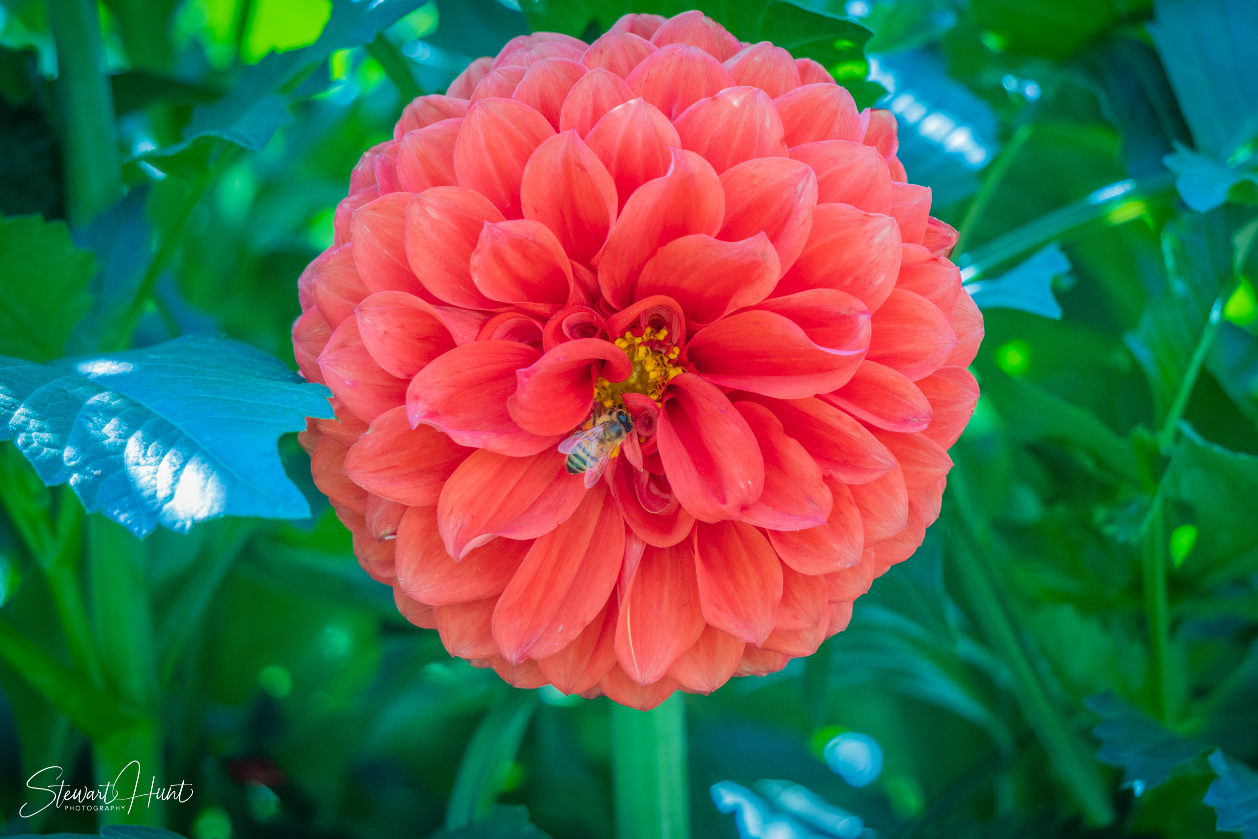 20190309 Ballarat 5772