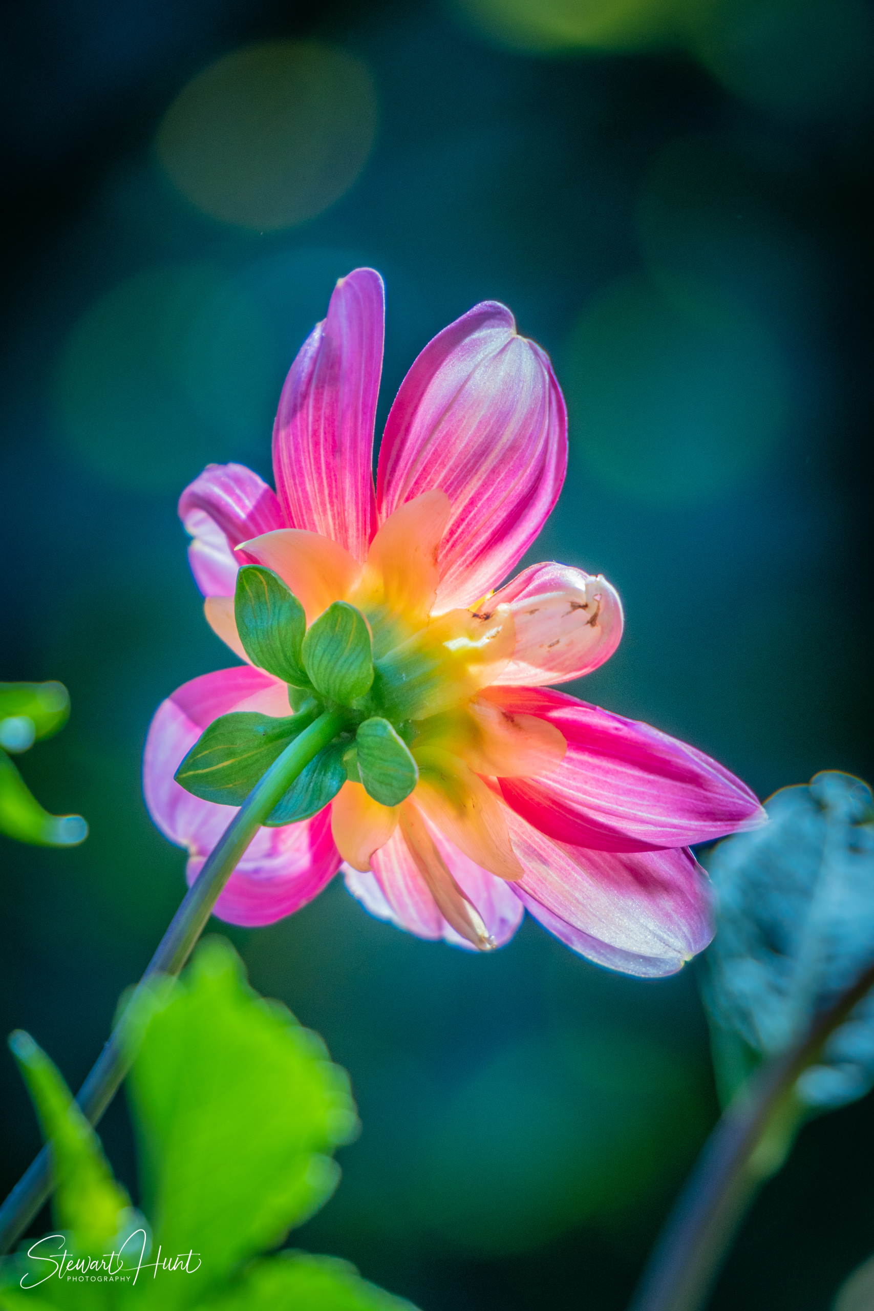 20190309 Ballarat 5778