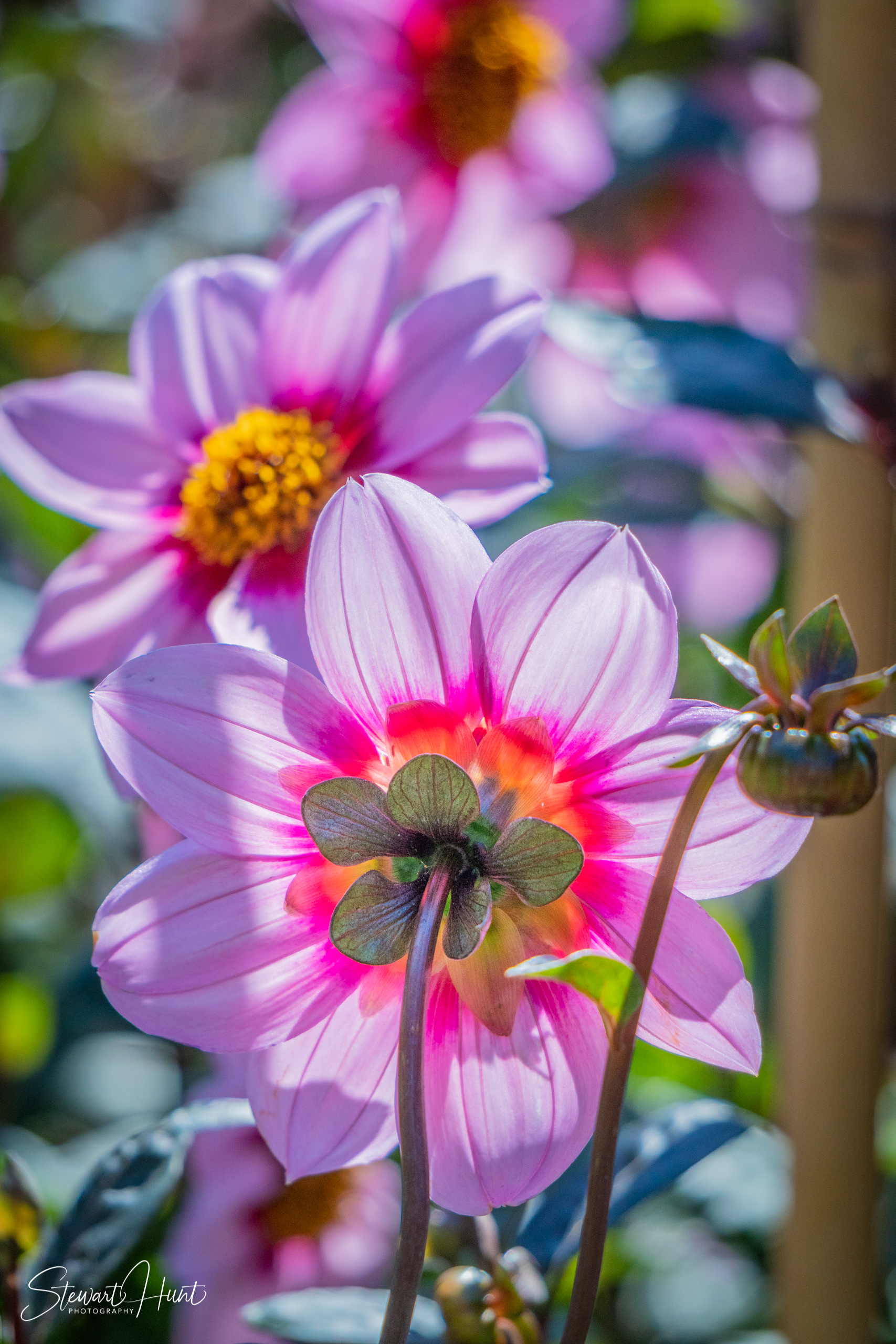 20190309 Ballarat 5780