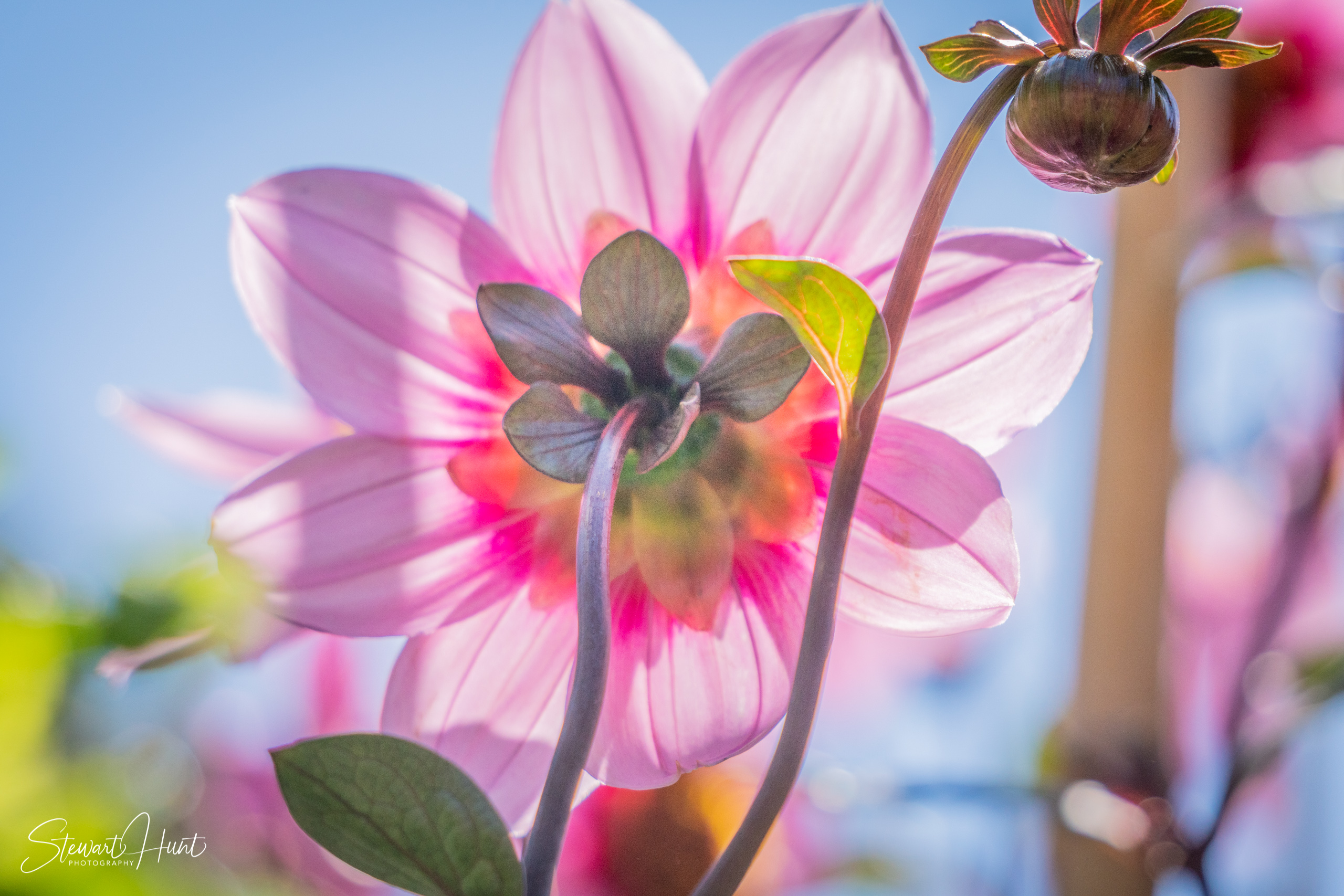 20190309 Ballarat 5781