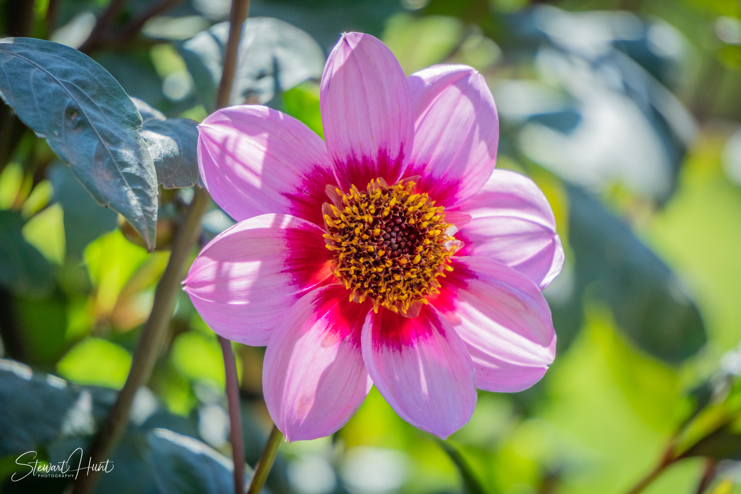 20190309 Ballarat 5783