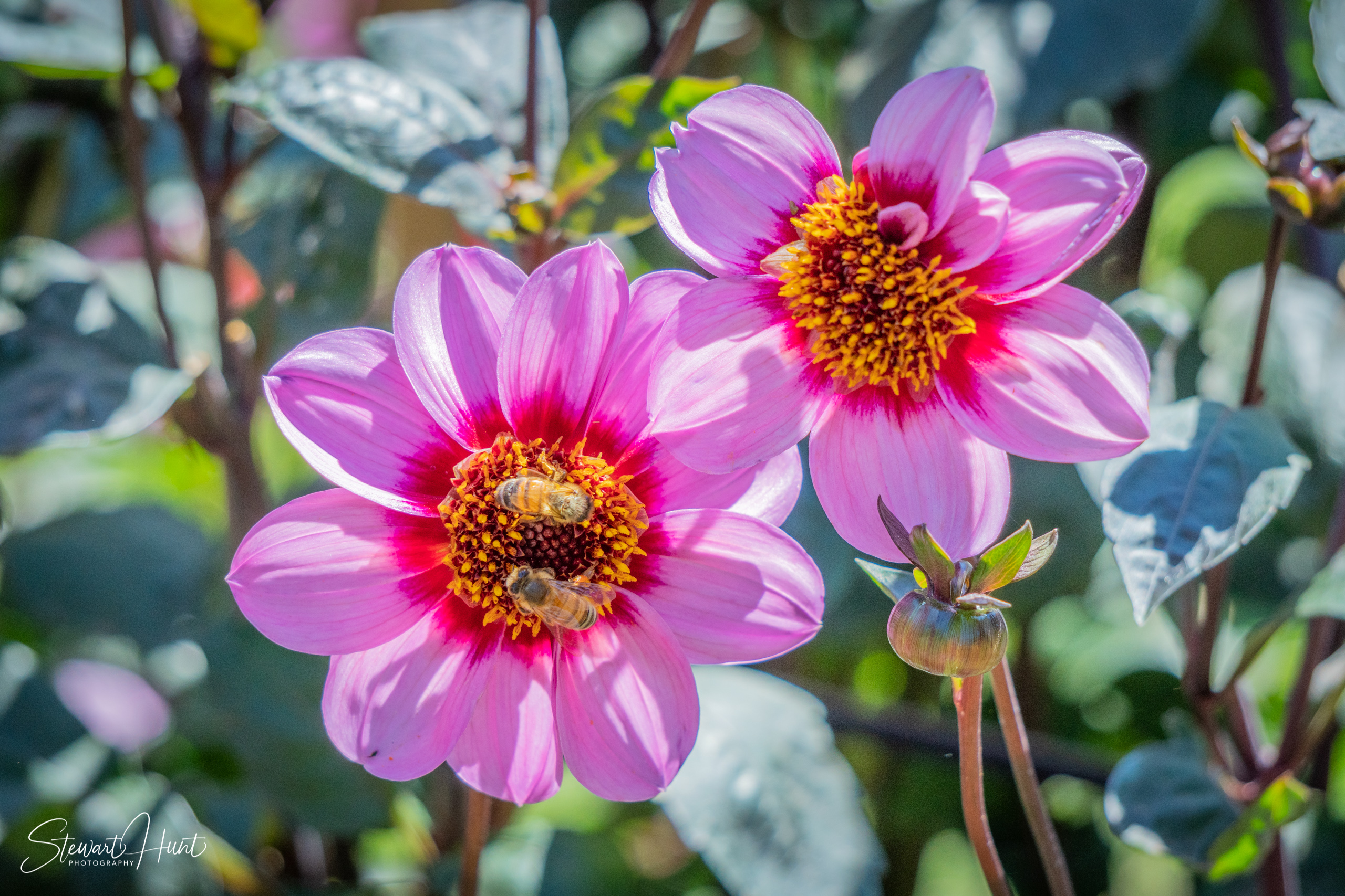 20190309 Ballarat 5784