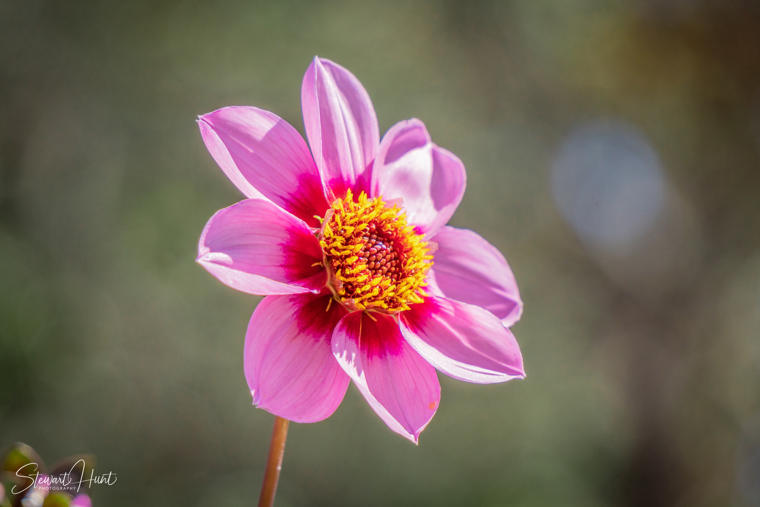 20190309 Ballarat 5790