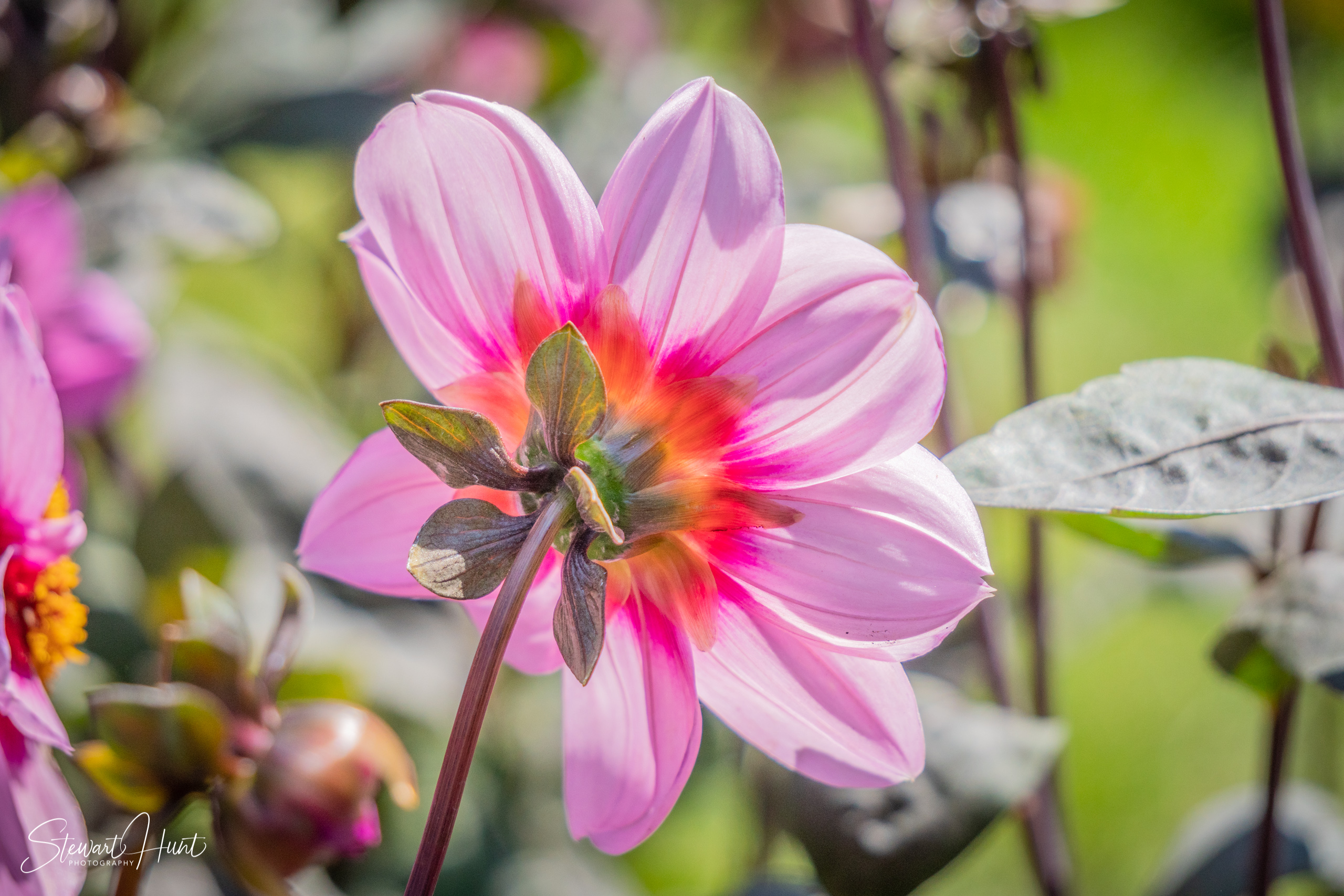 20190309 Ballarat 5793