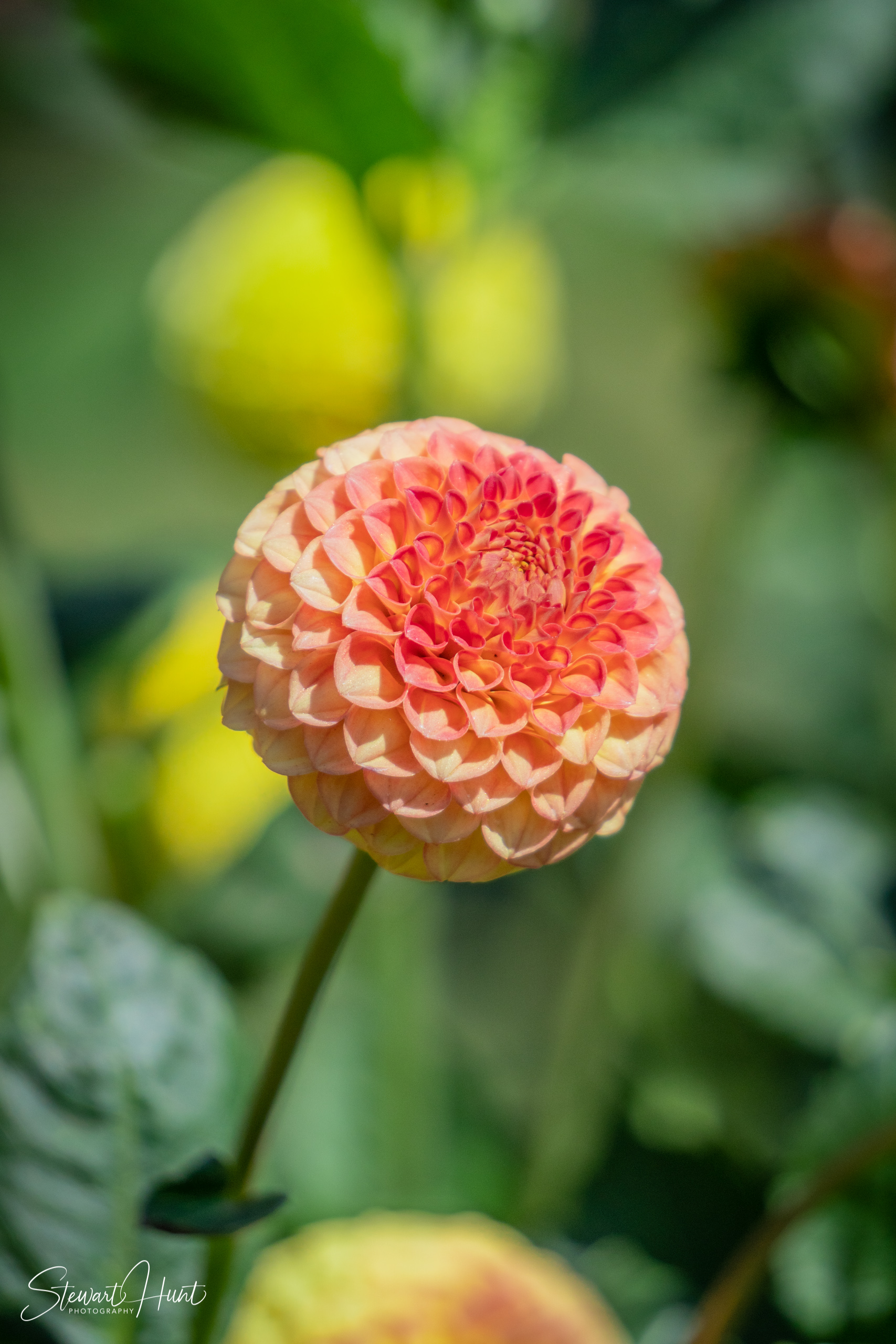 20190309 Ballarat 5800