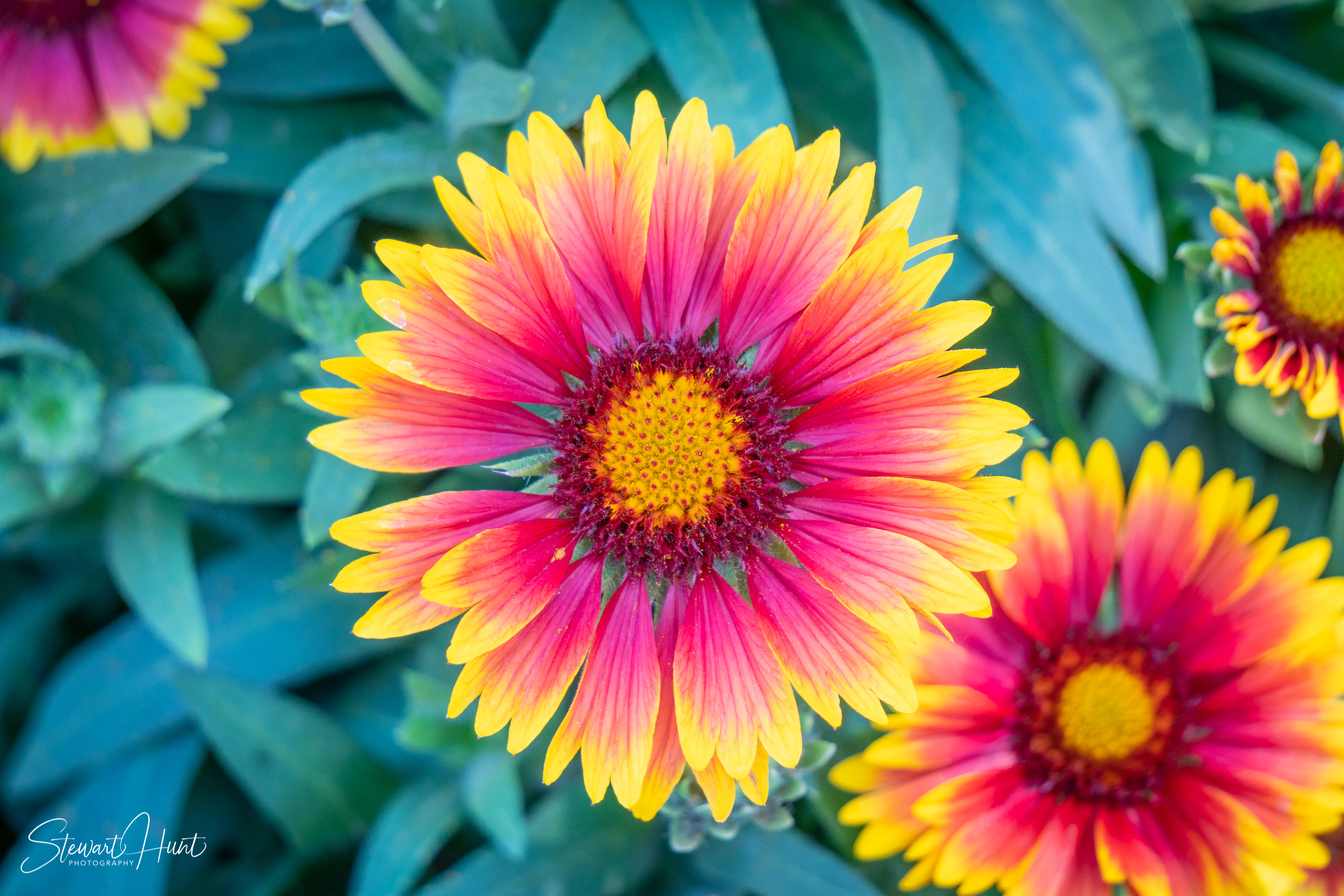 20190309 Ballarat 5823