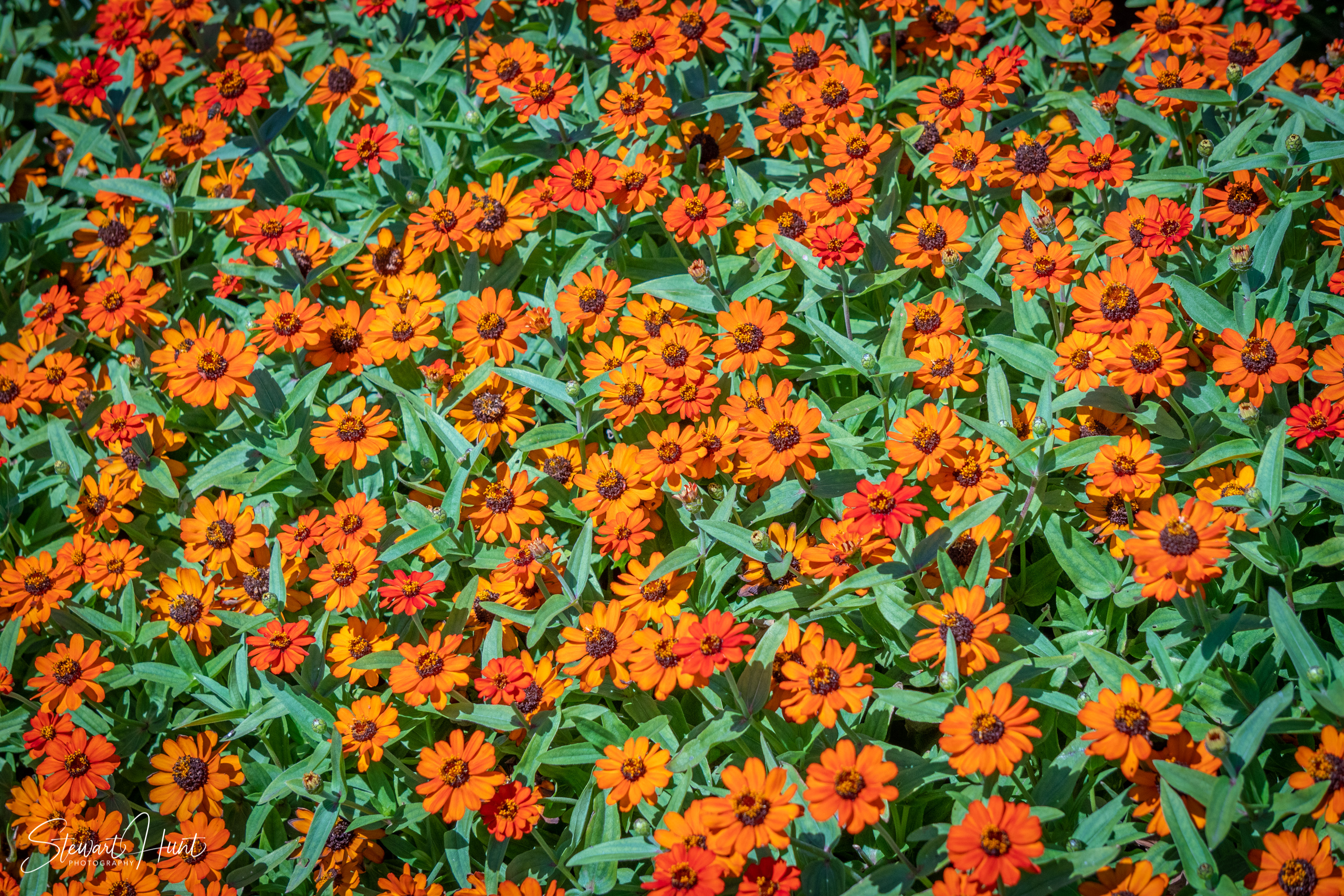 20190309 Ballarat 5830