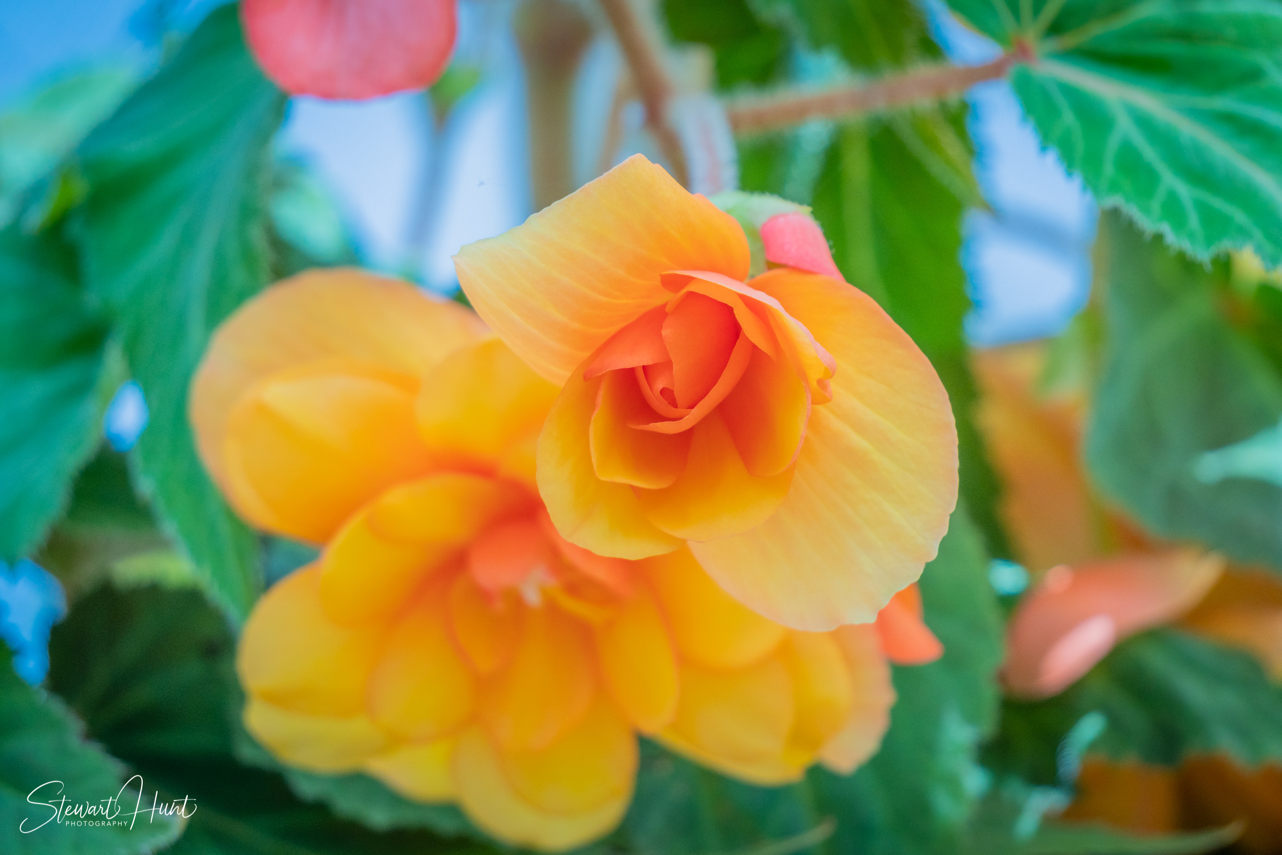 20190309 Ballarat 5834