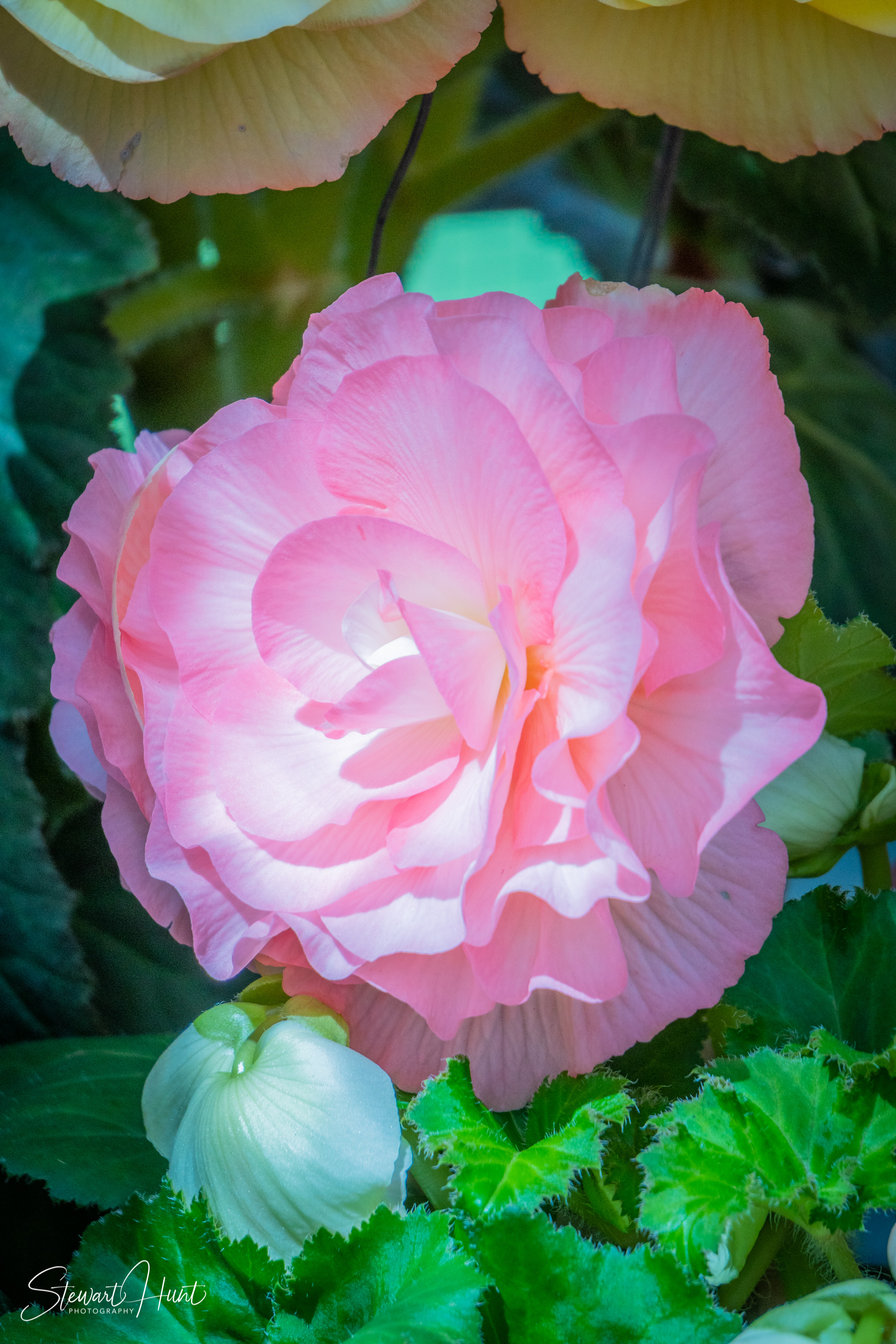 20190309 Ballarat 5835