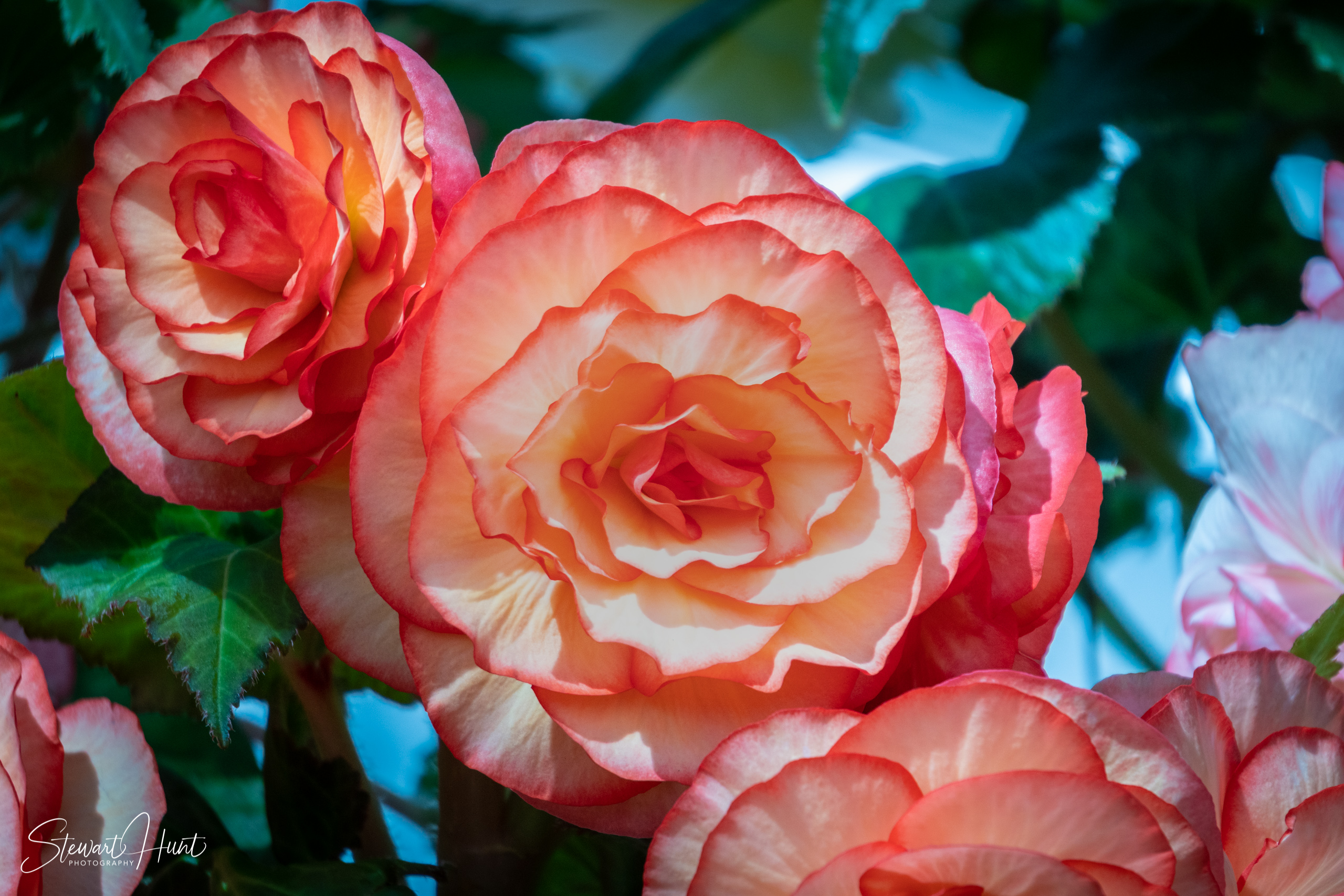 20190309 Ballarat 5845