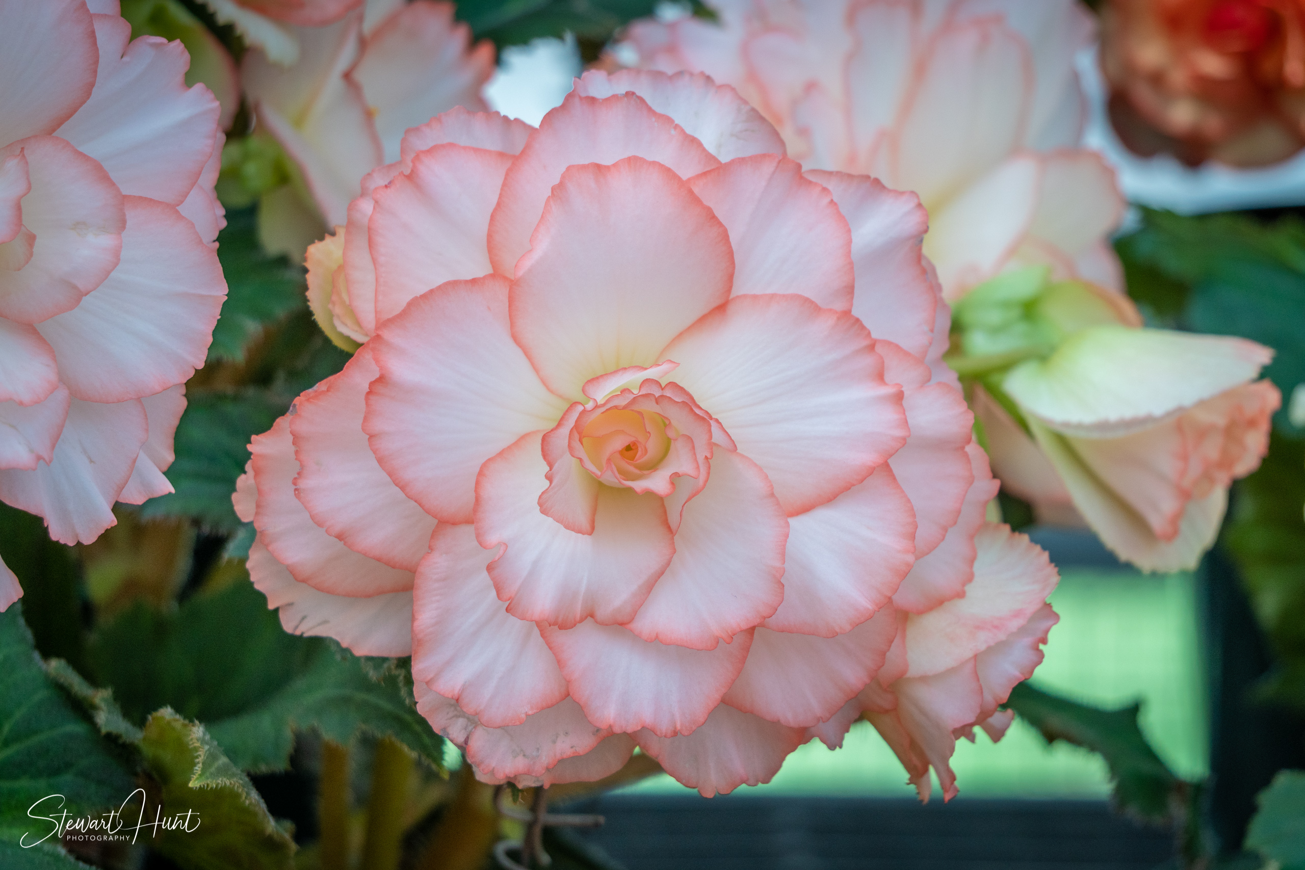 20190309 Ballarat 5846