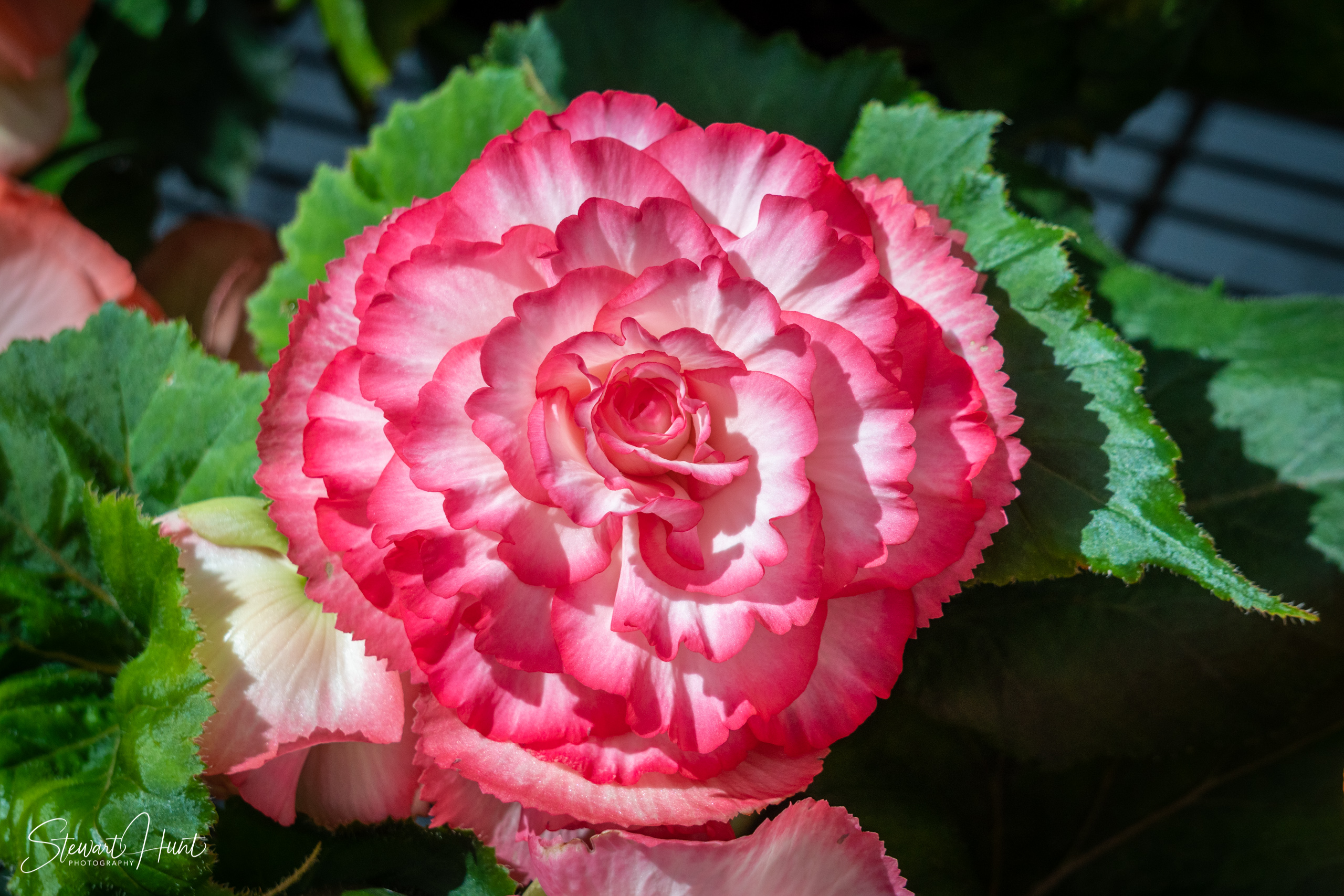 20190309 Ballarat 5853