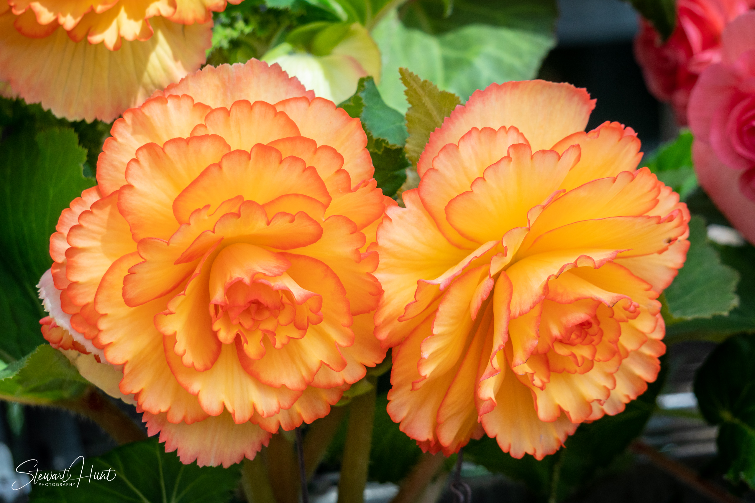 20190309 Ballarat 5859