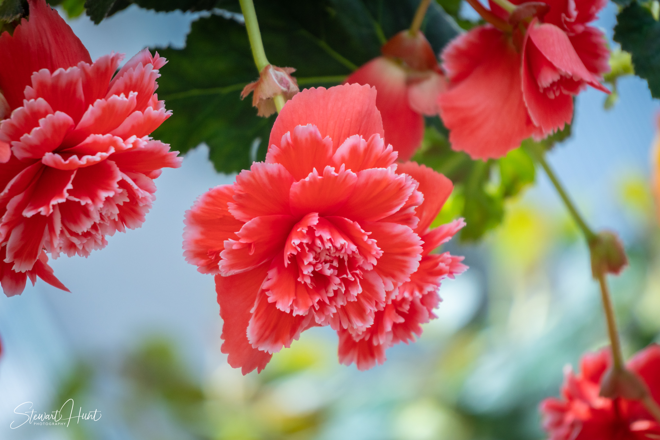 20190309 Ballarat 5866