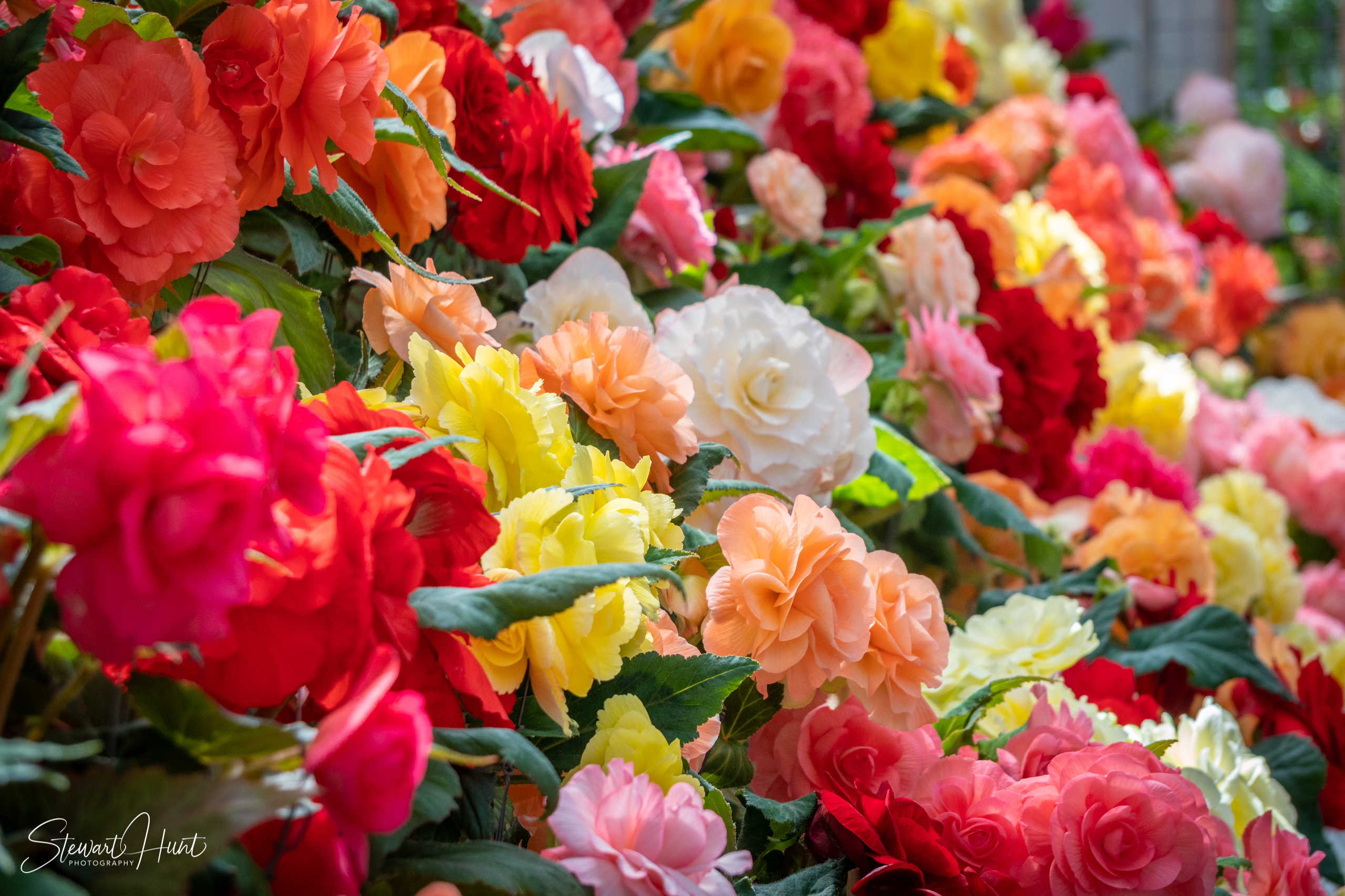 20190309 Ballarat 5873