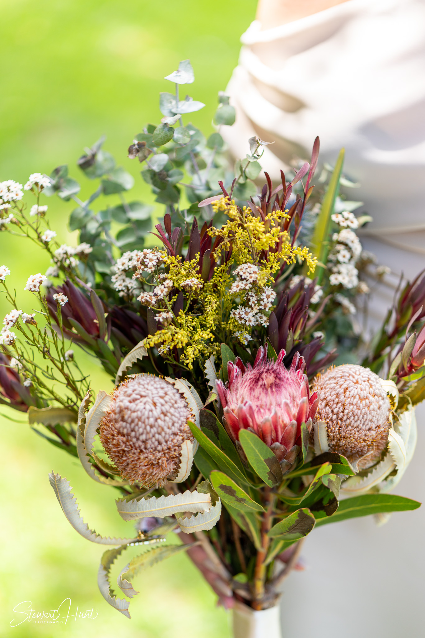 Jourdin 20240303 SMH A7RIII 01531