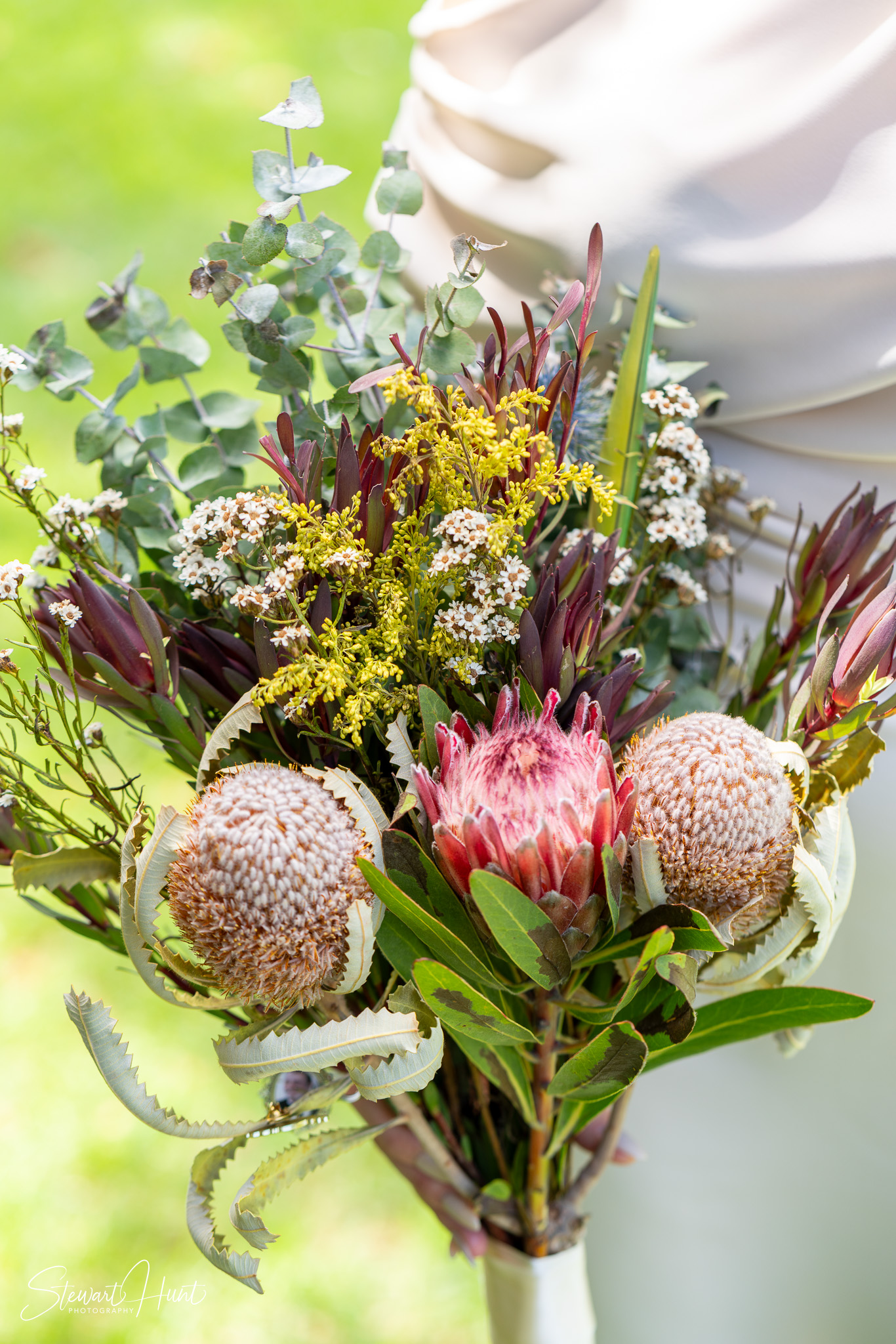 Jourdin 20240303 SMH A7RIII 01532