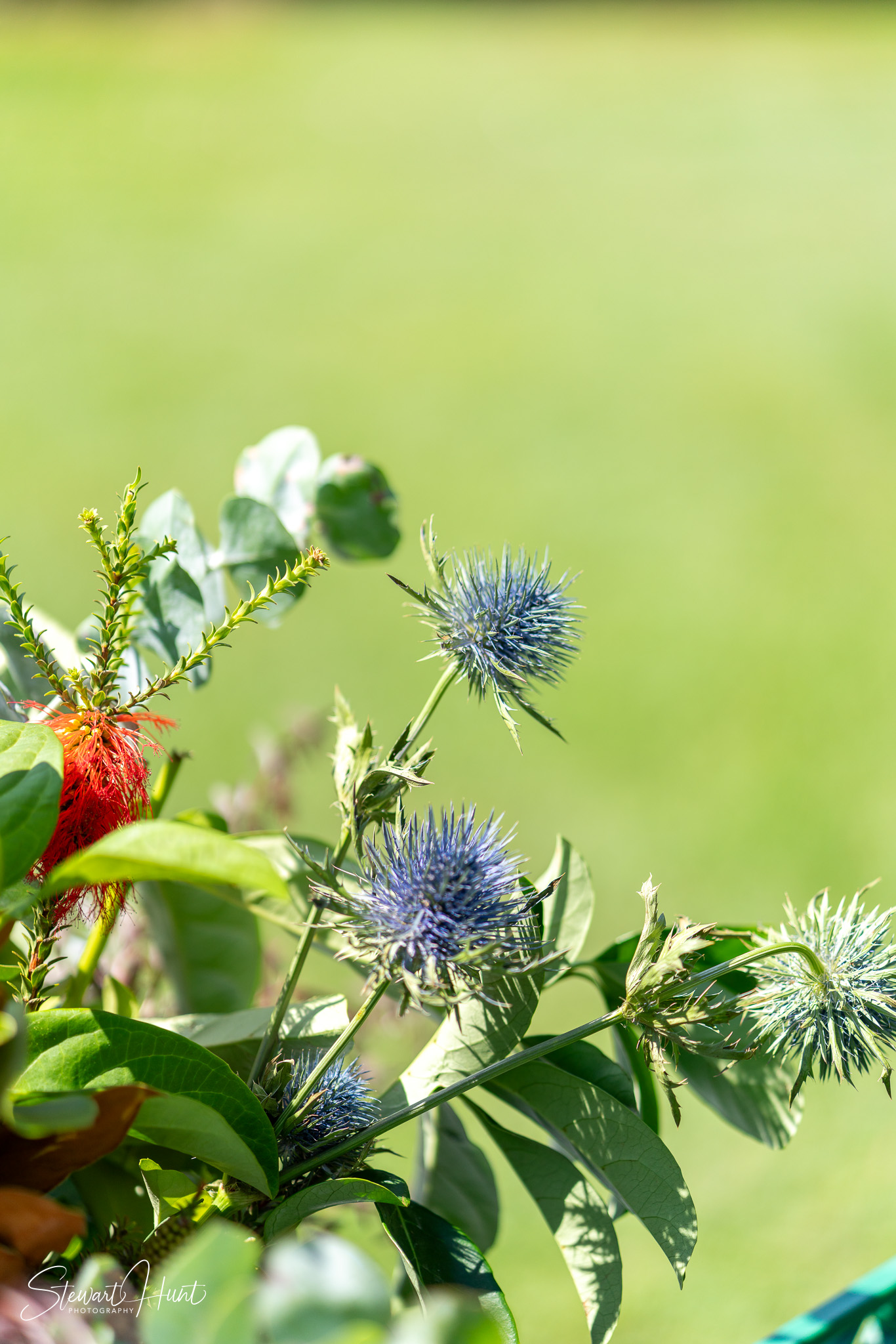 Jourdin 20240303 SMH A7RIII 01656