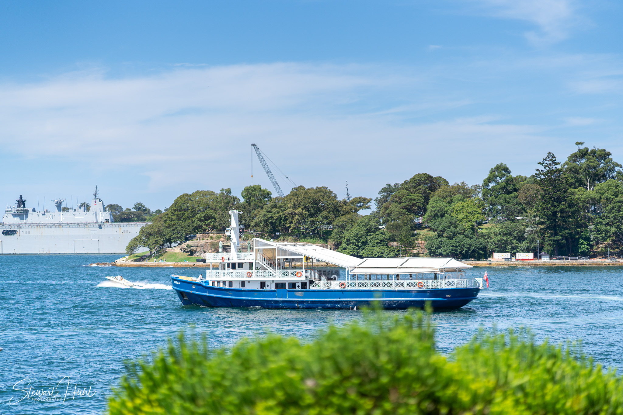 Jourdin 20240303 SMH A7RIII 01662