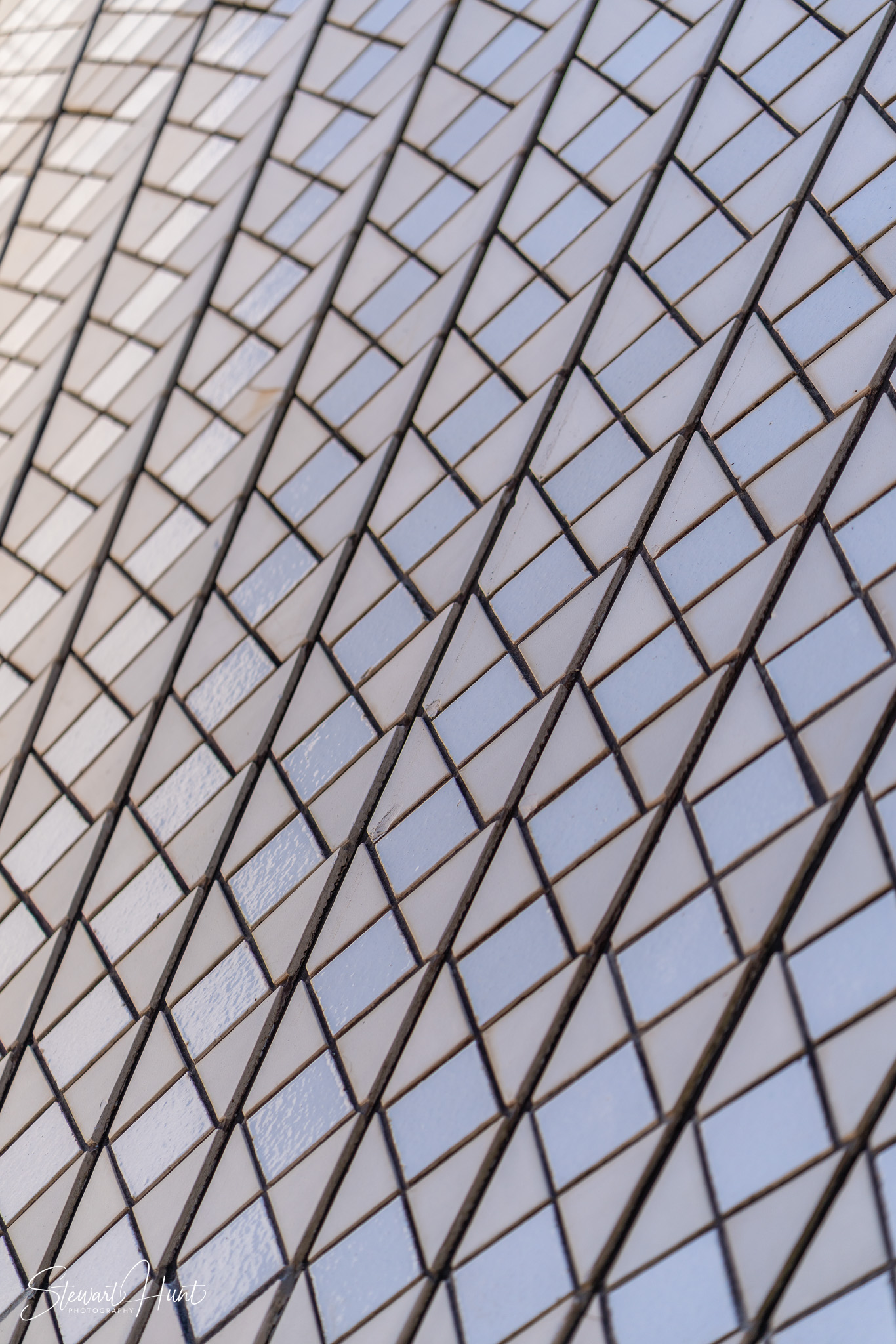 Jourdin 20240303 SMH A7RIII 01717