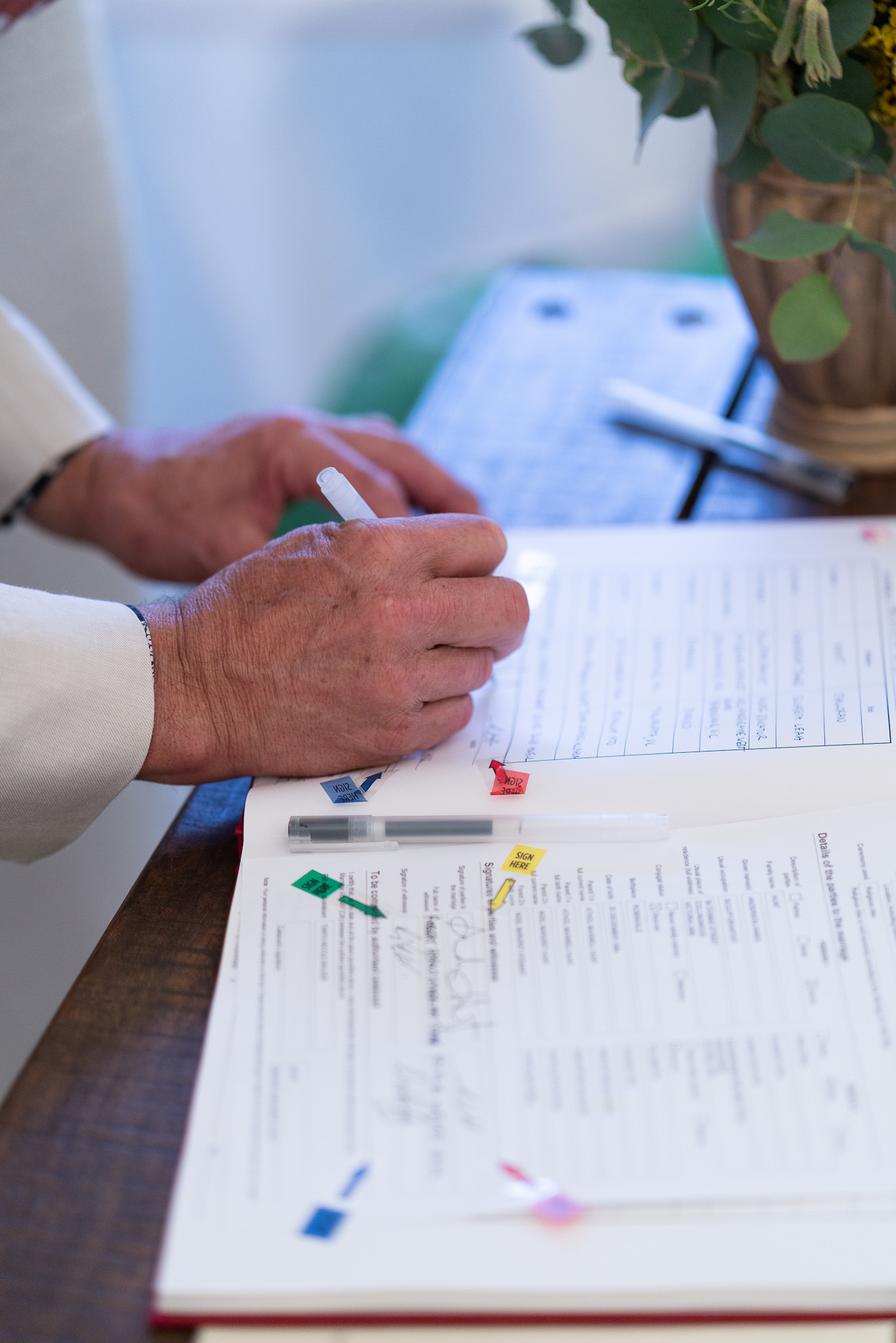 20251206 Festival of Ando and Lis A7Riii 02353