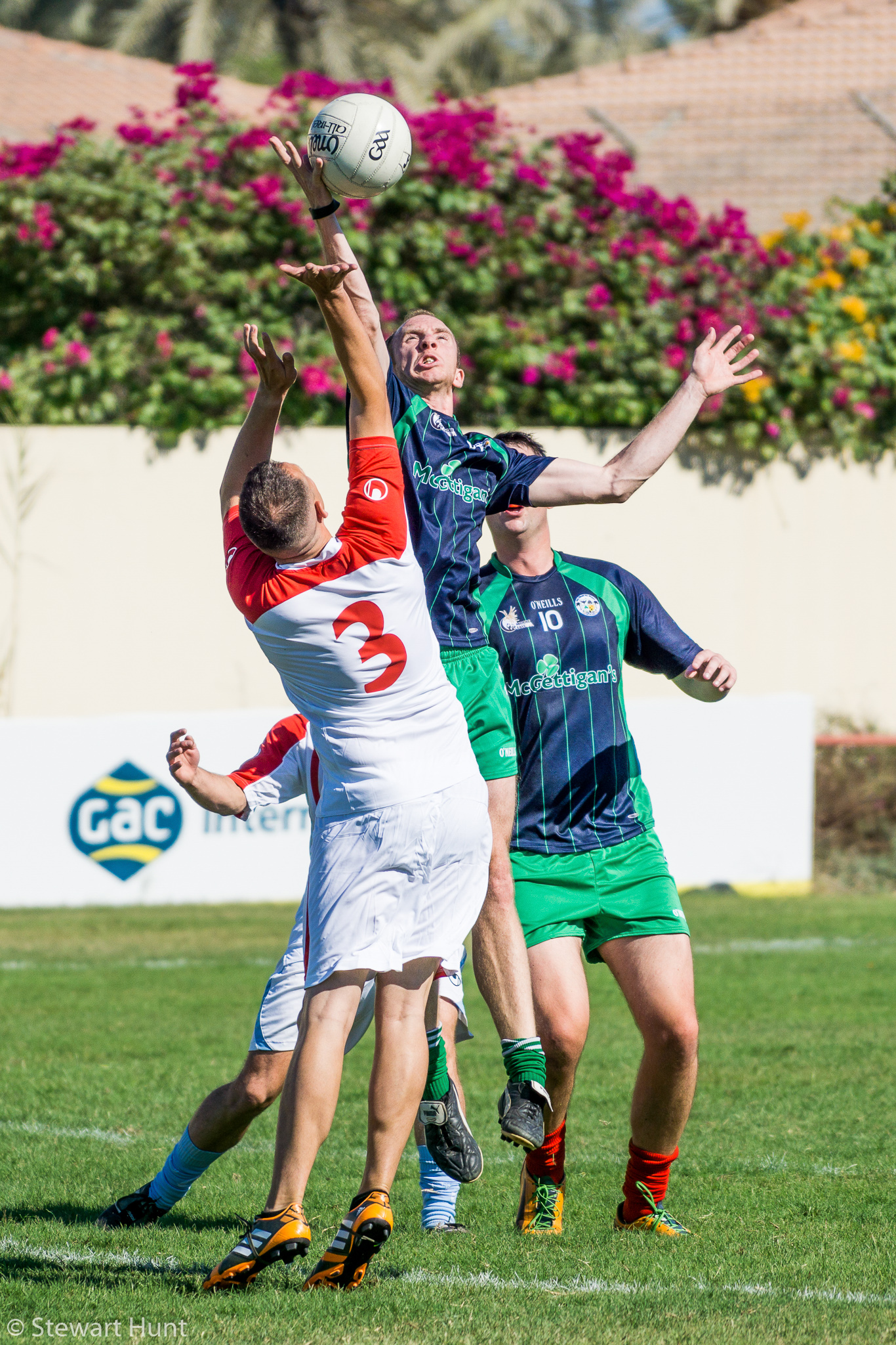 Gaelic Football 3629