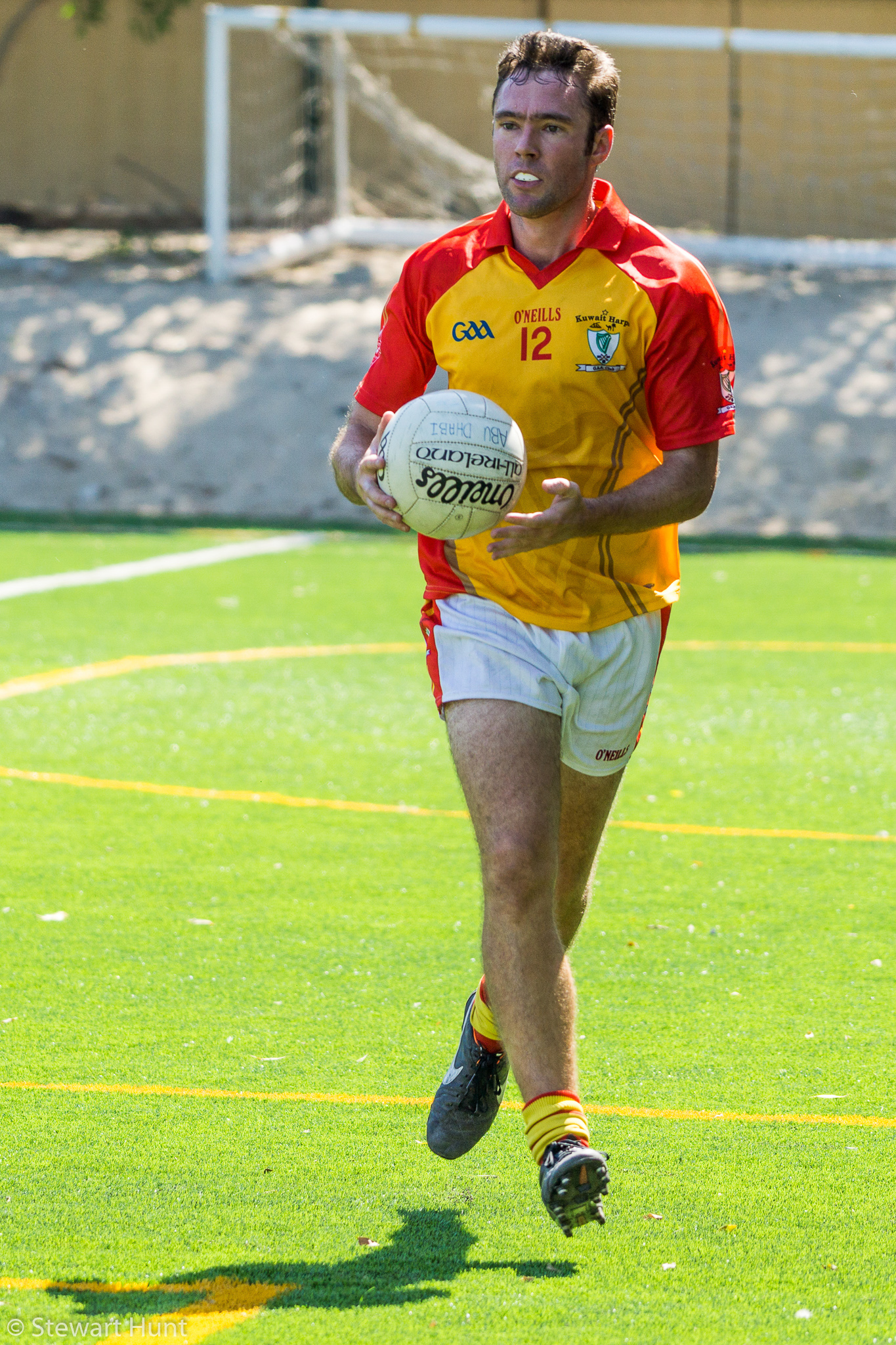 Gaelic Football 3847