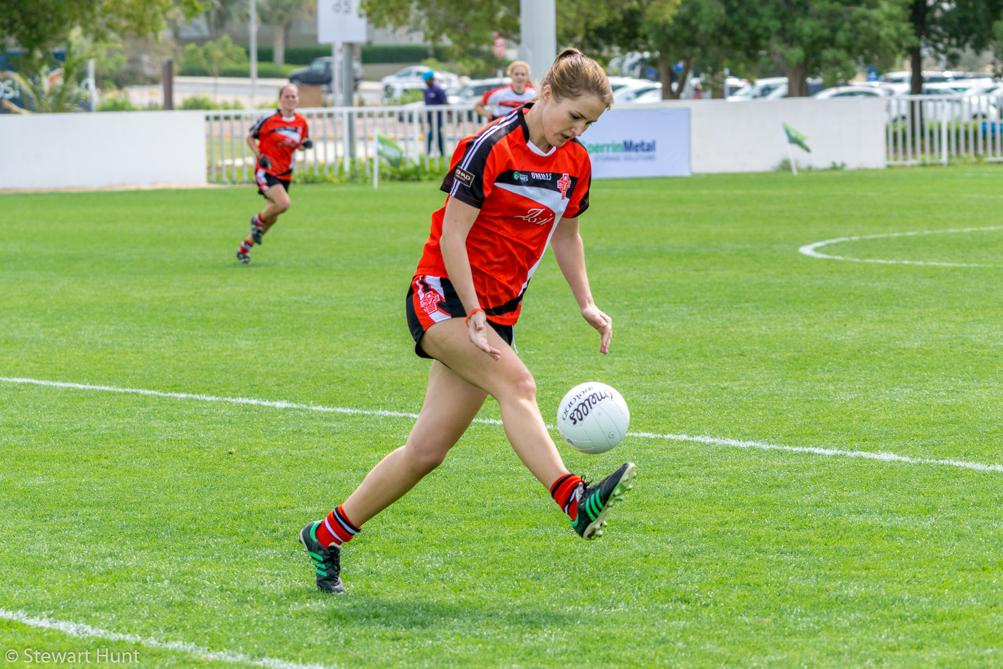 Gaelic Football 6623