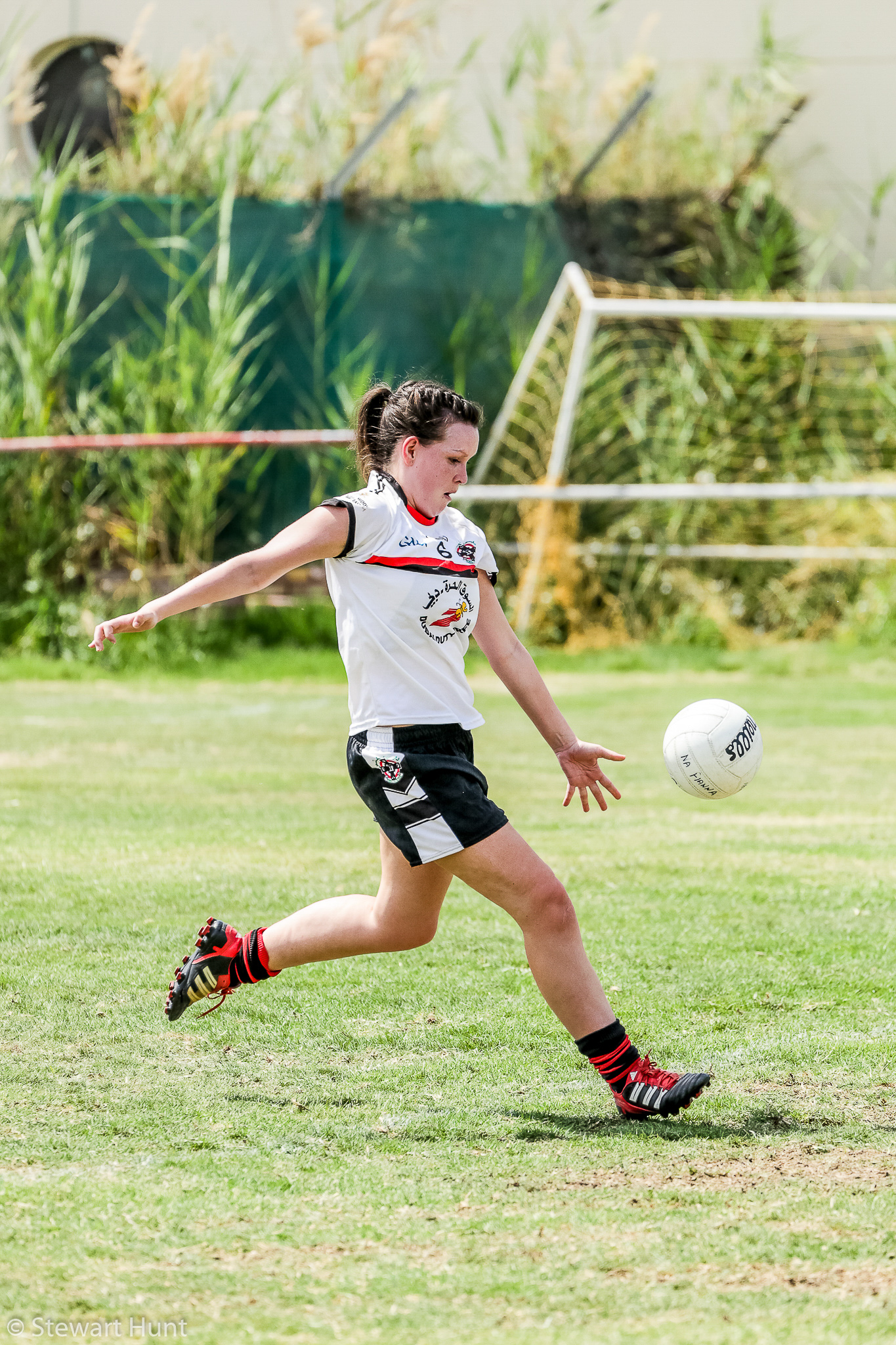 Gaelic Football 7134