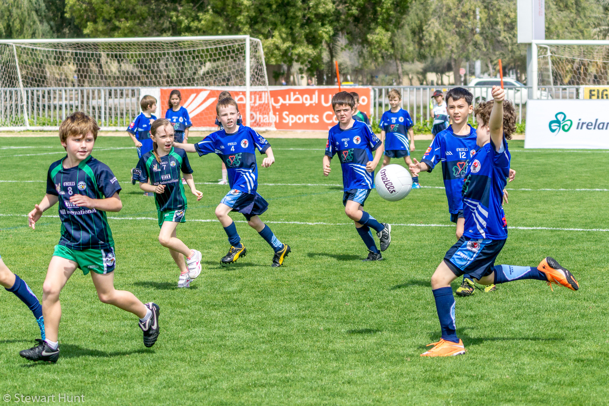 Gaelic Football 7208