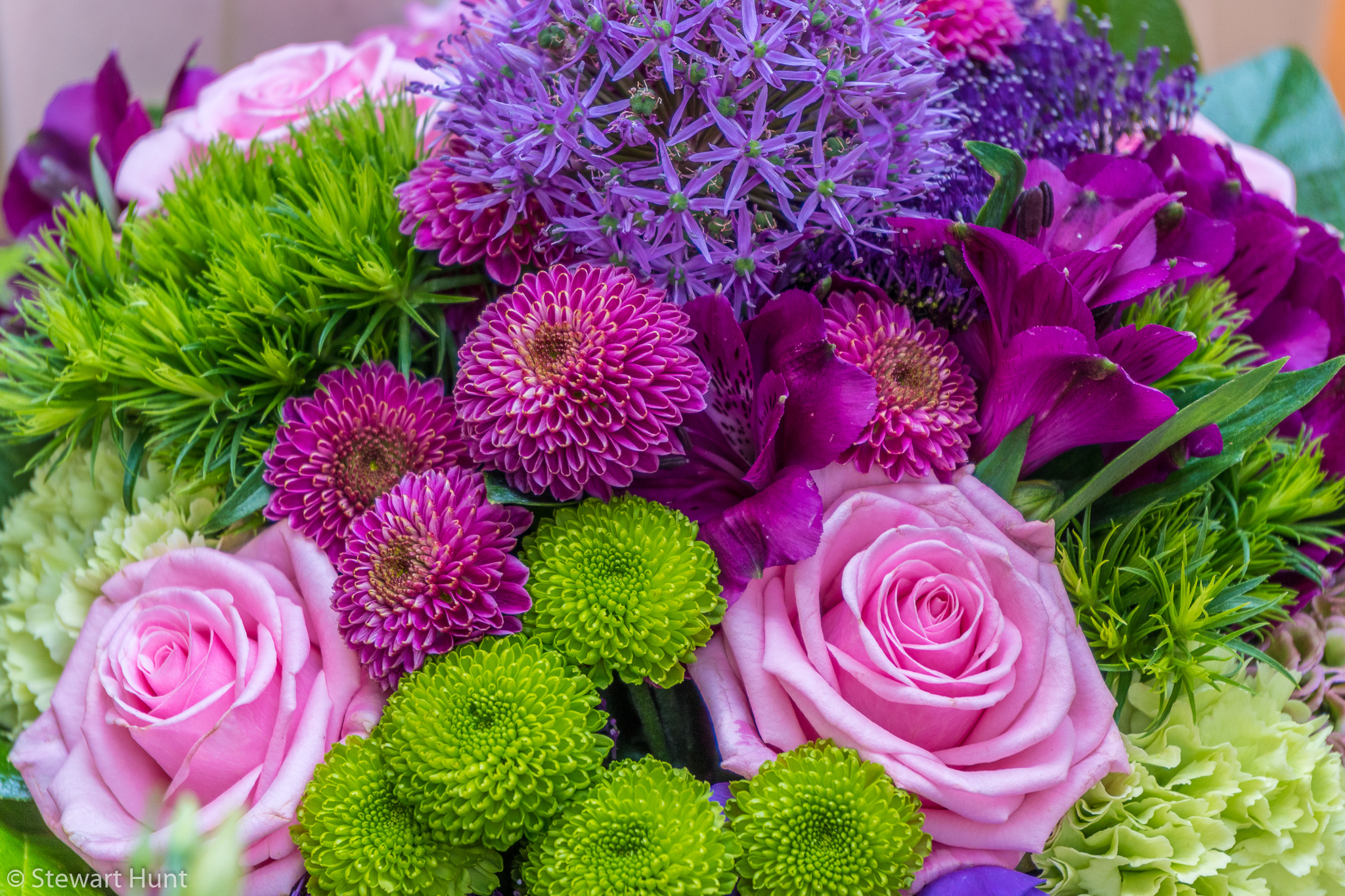 Vienna 2017 A6500 1977