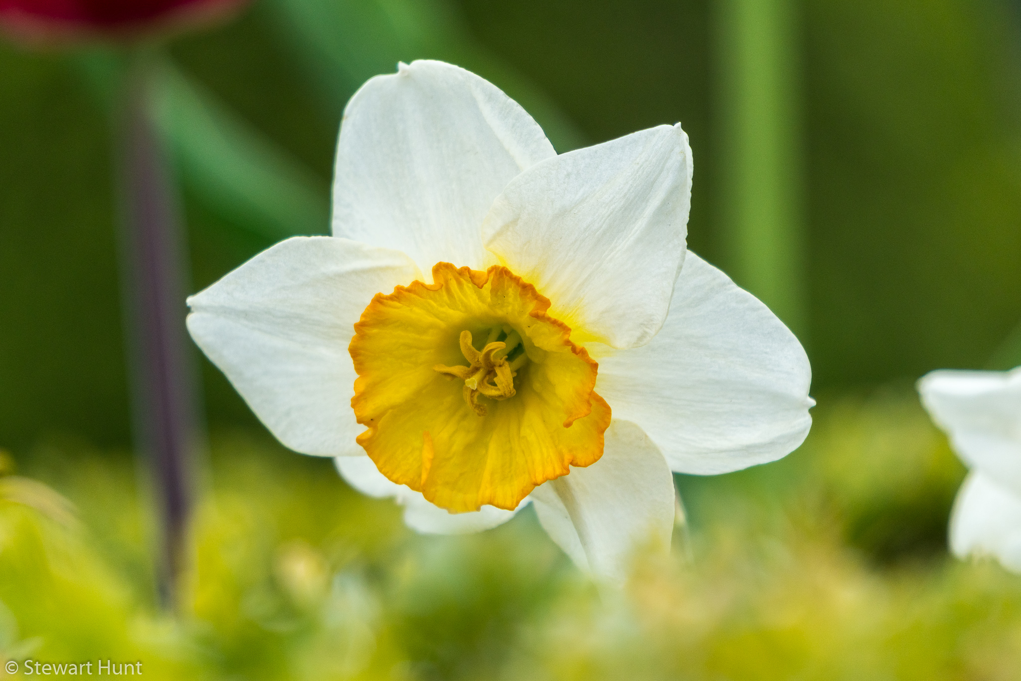 Vienna 2017 A6500 2024