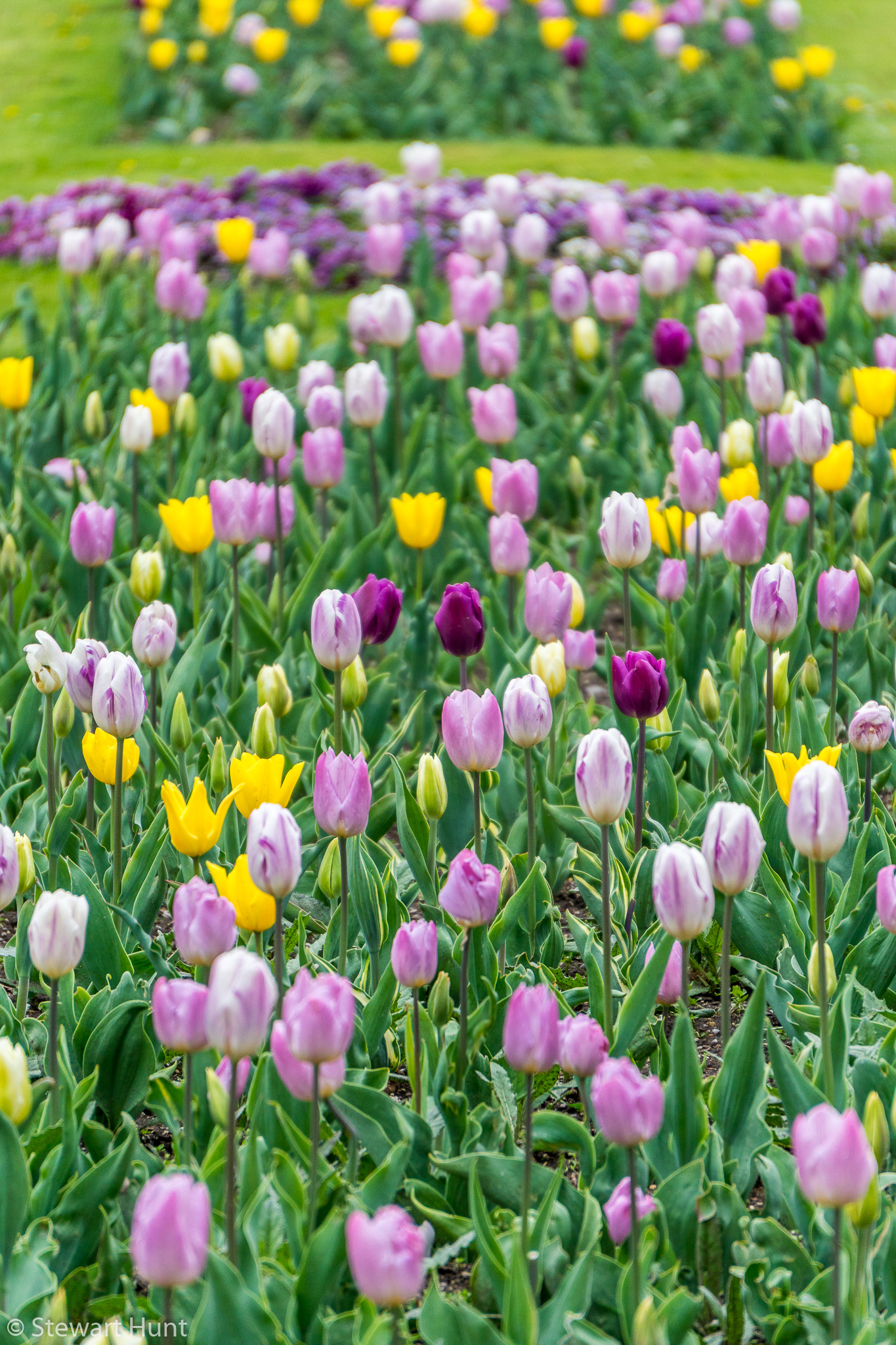 Vienna 2017 A6500 2049