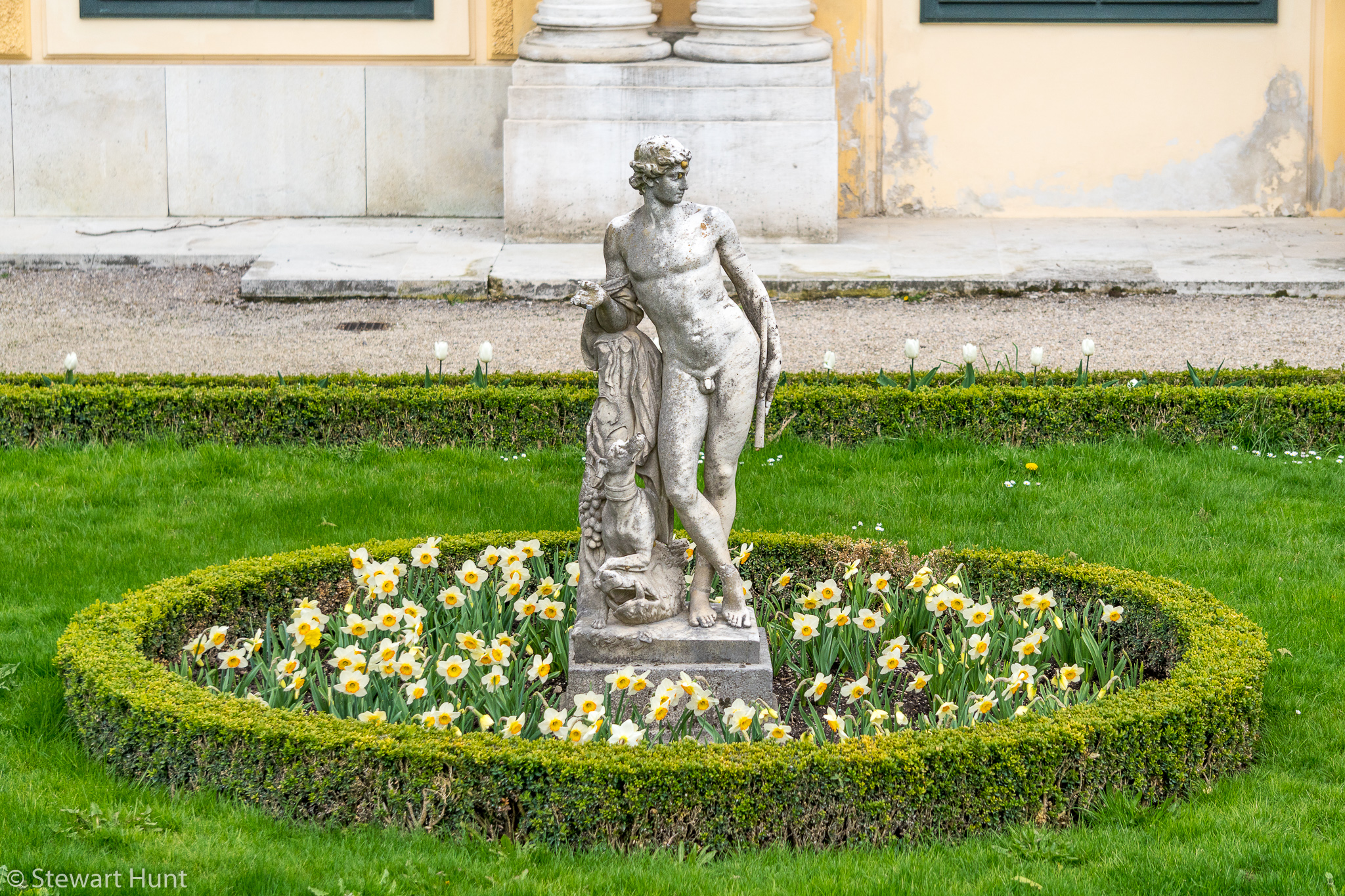 Vienna 2017 A6500 2078