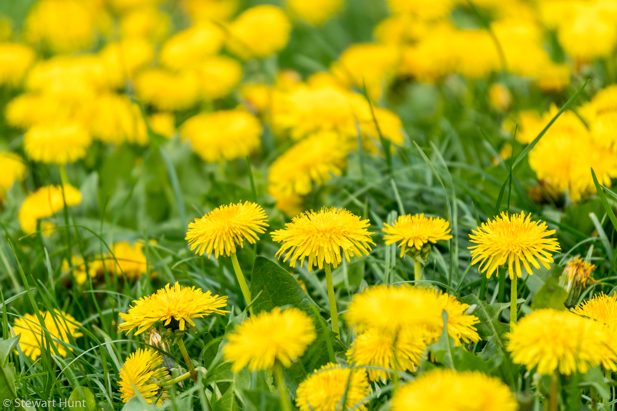 Vienna 2017 A6500 2280