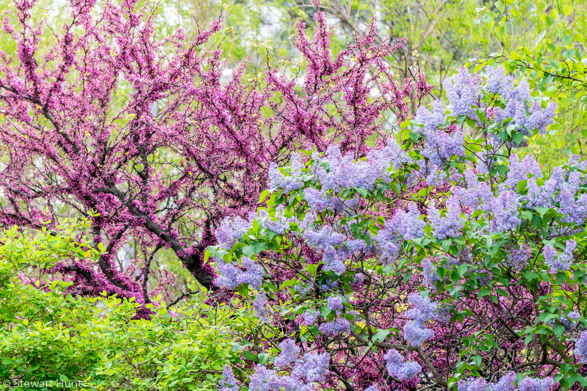 Vienna 2017 A6500 2291