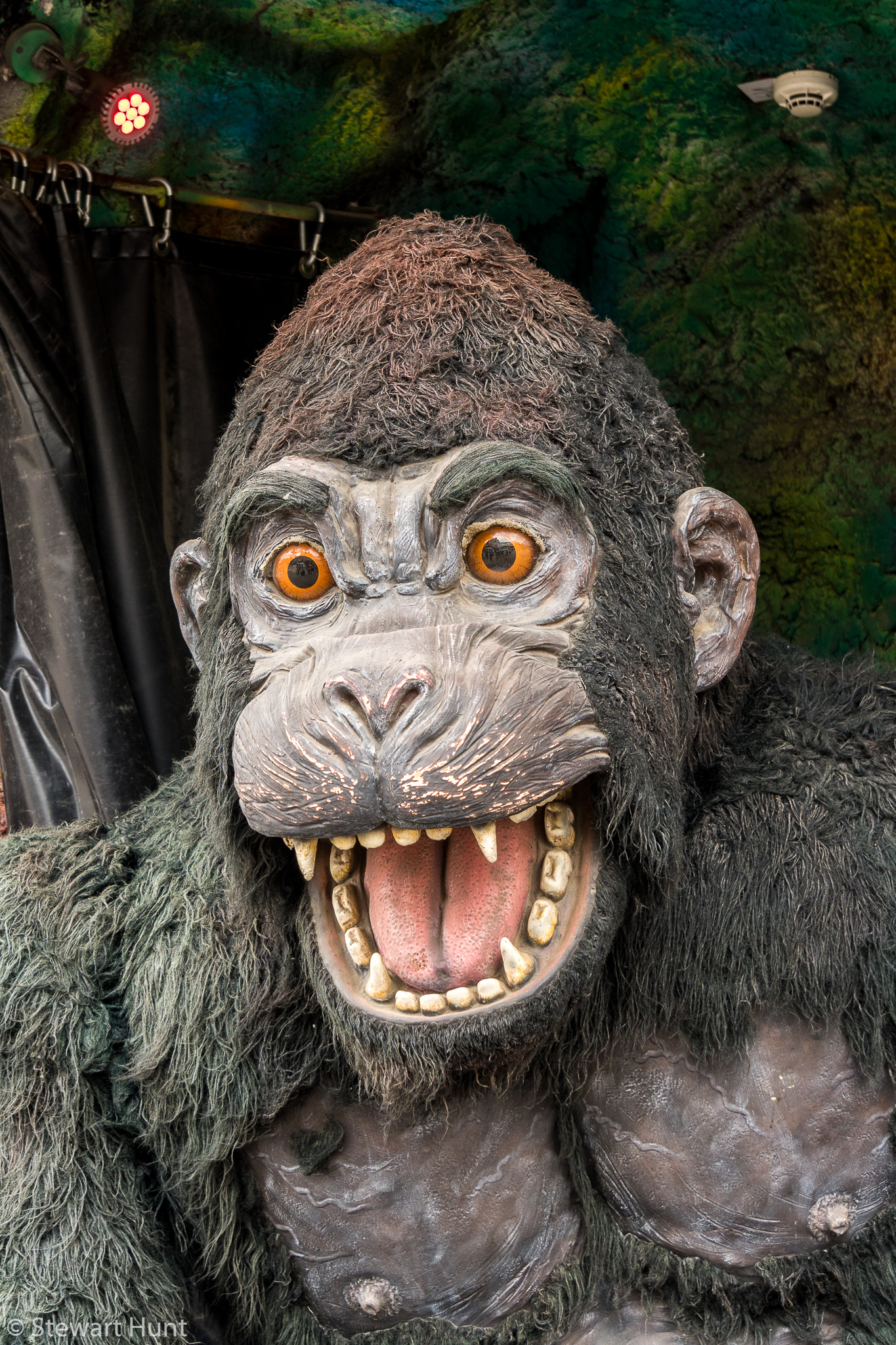 Vienna 2017 A6500 2361