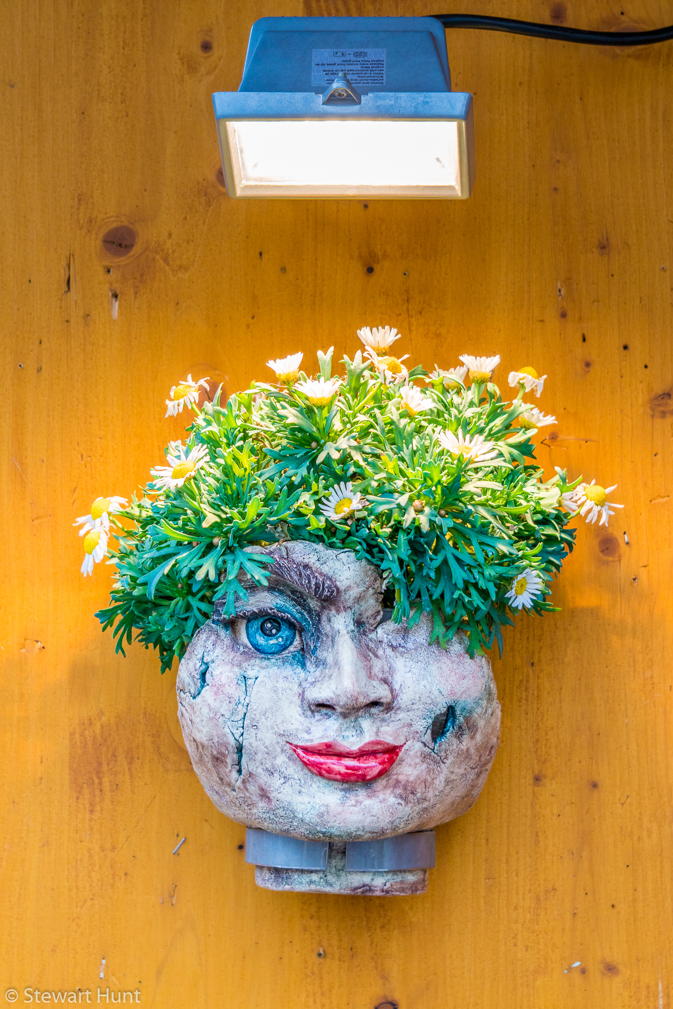 Vienna 2017 A6500 1809