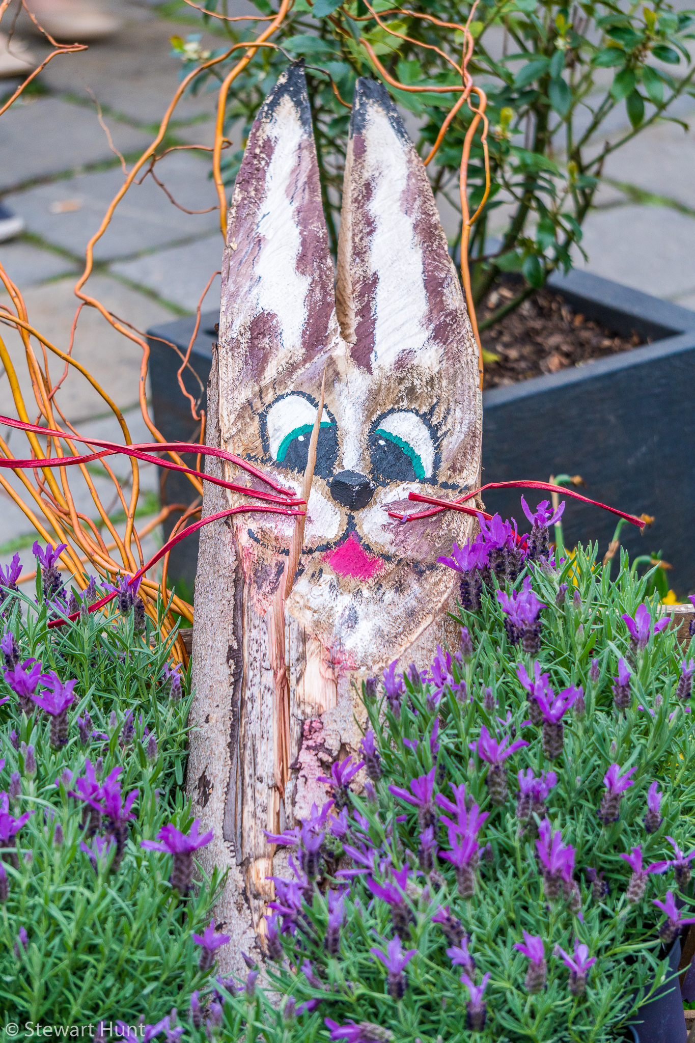 Vienna 2017 A6500 1820